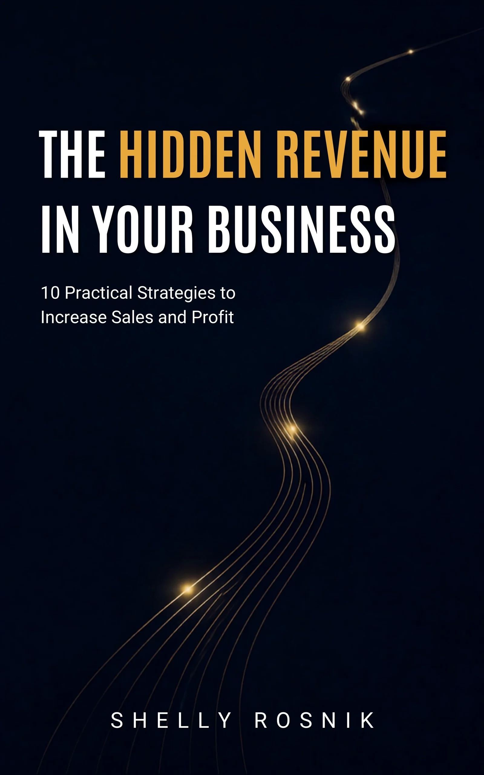 THE HIDDEN REVENUE IN YOUR BUSINESS: 10 Practical Strategies to Increase Sales and Profit