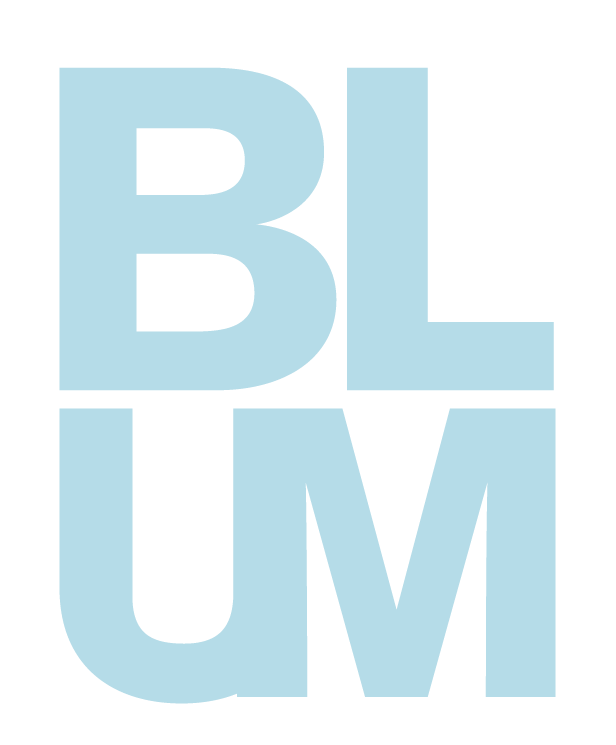 Blum Consulting Partners