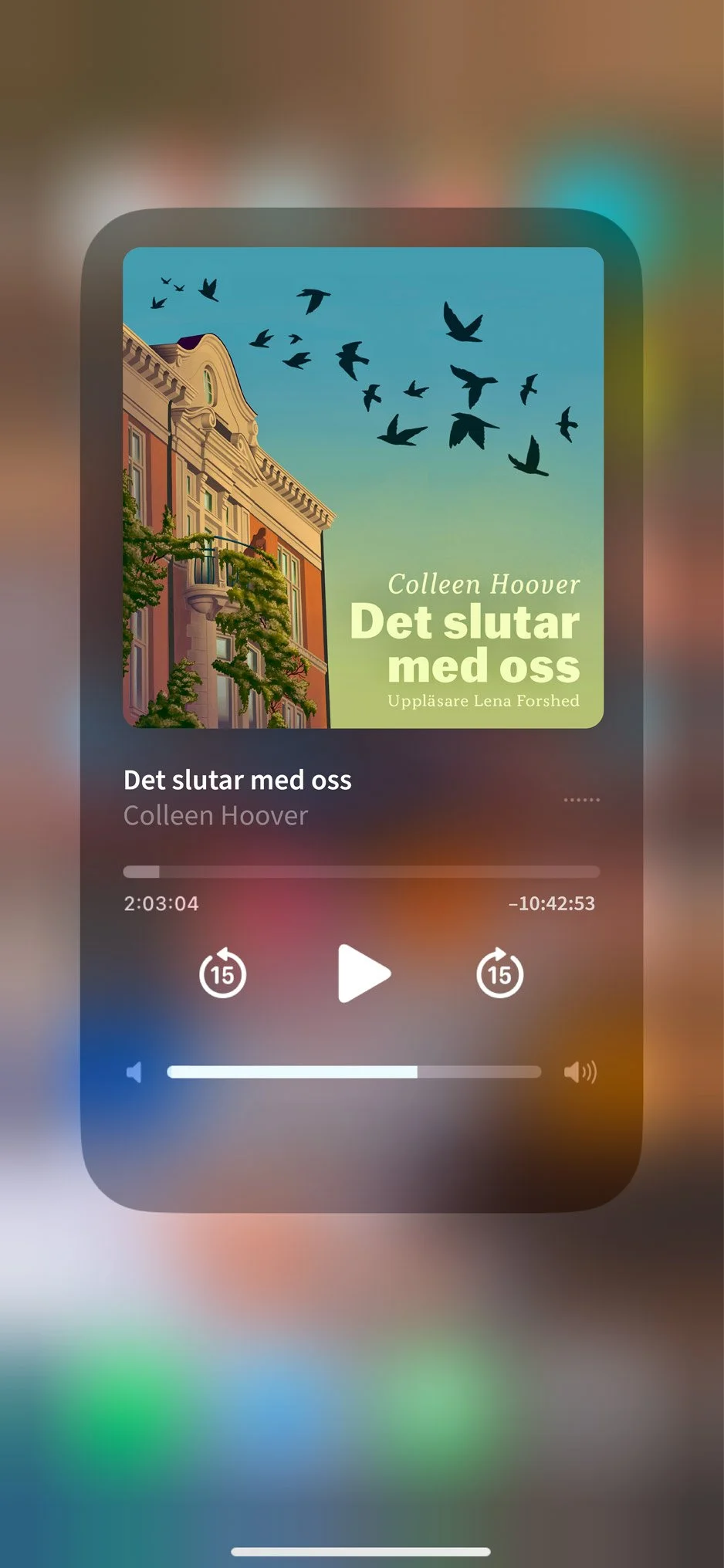 Det-slutar-med-oss-ljusdbok.jpg