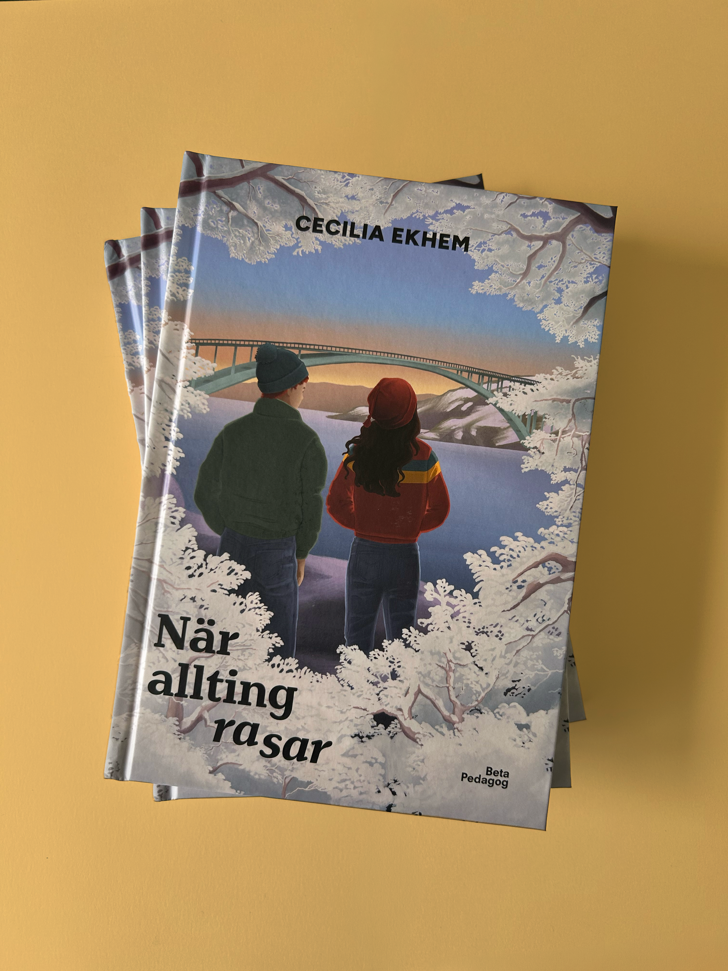 Bokomslag till en bok av Cecilia Ekhem med en illustration av två personer som tittar på en bro över vatten under snöiga träd, titel på svenska: När allting rasar.