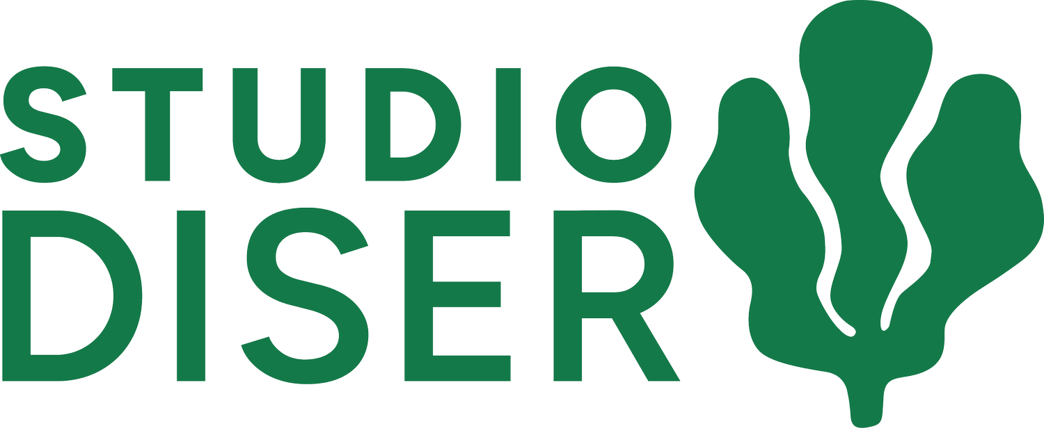 Studio Diser