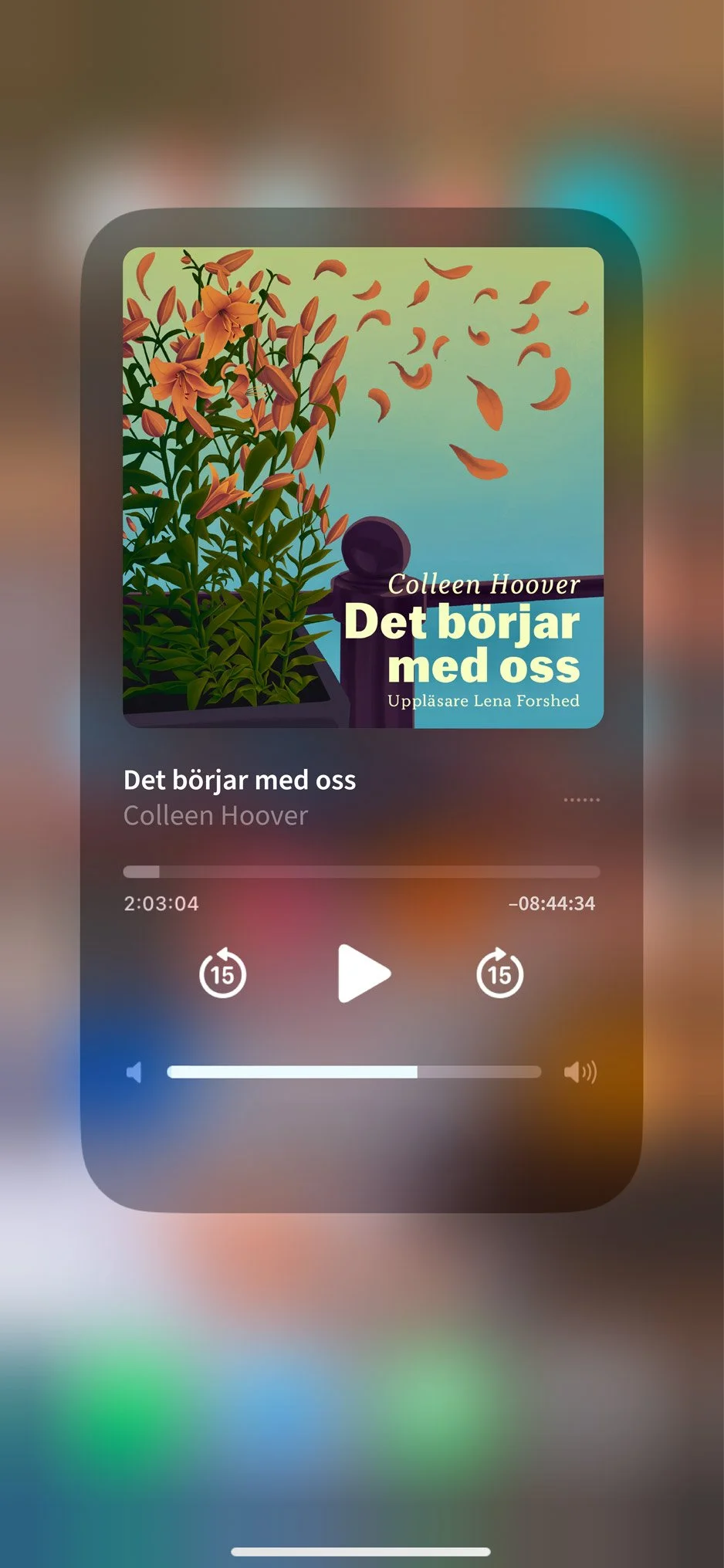 Det-slutar-med-oss-ljusdbok2.jpg