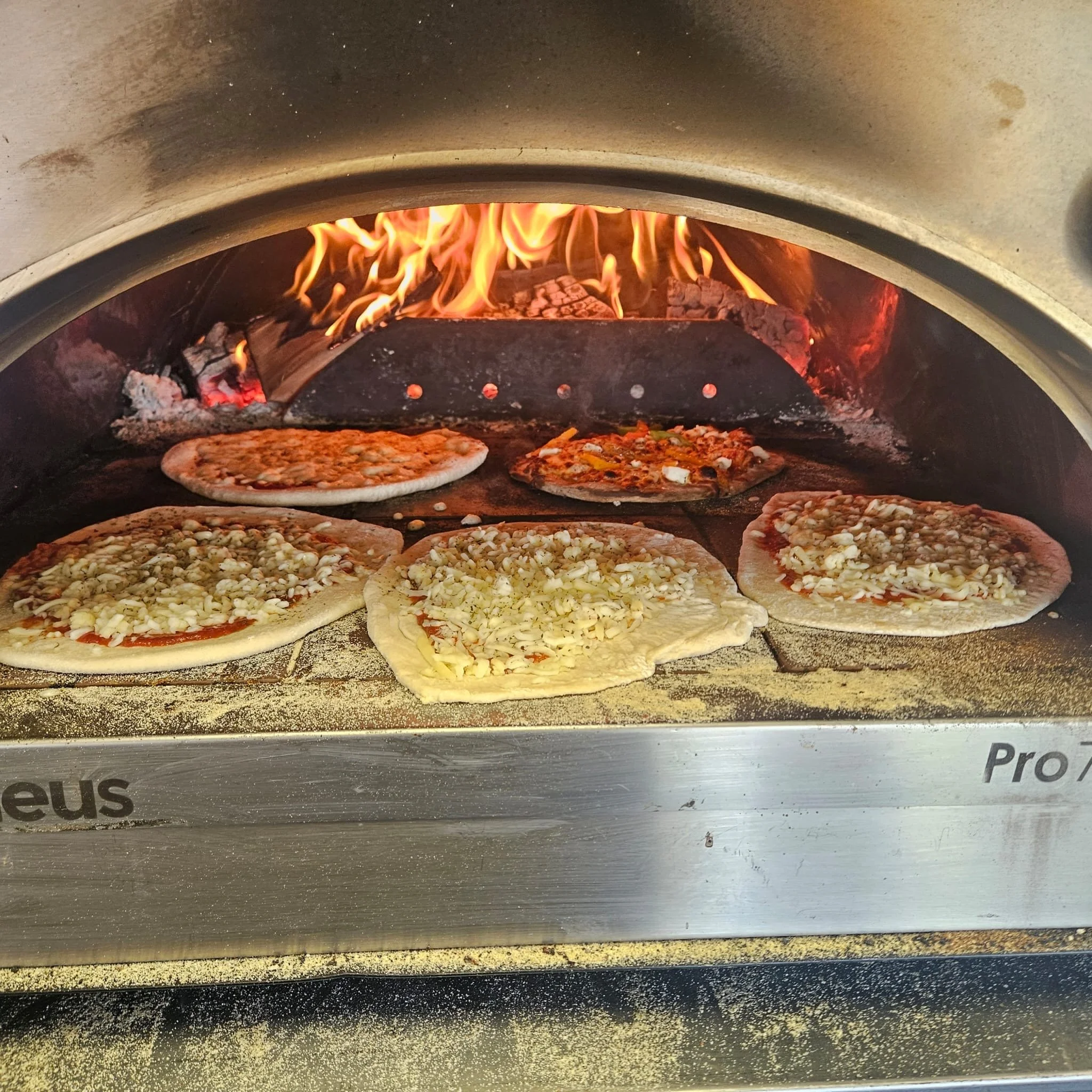 Pizza oven wood fired service