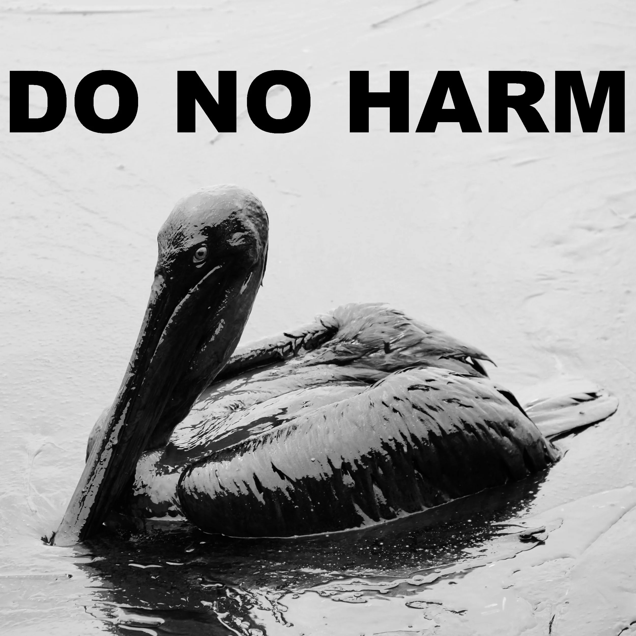 do no harm.jpg