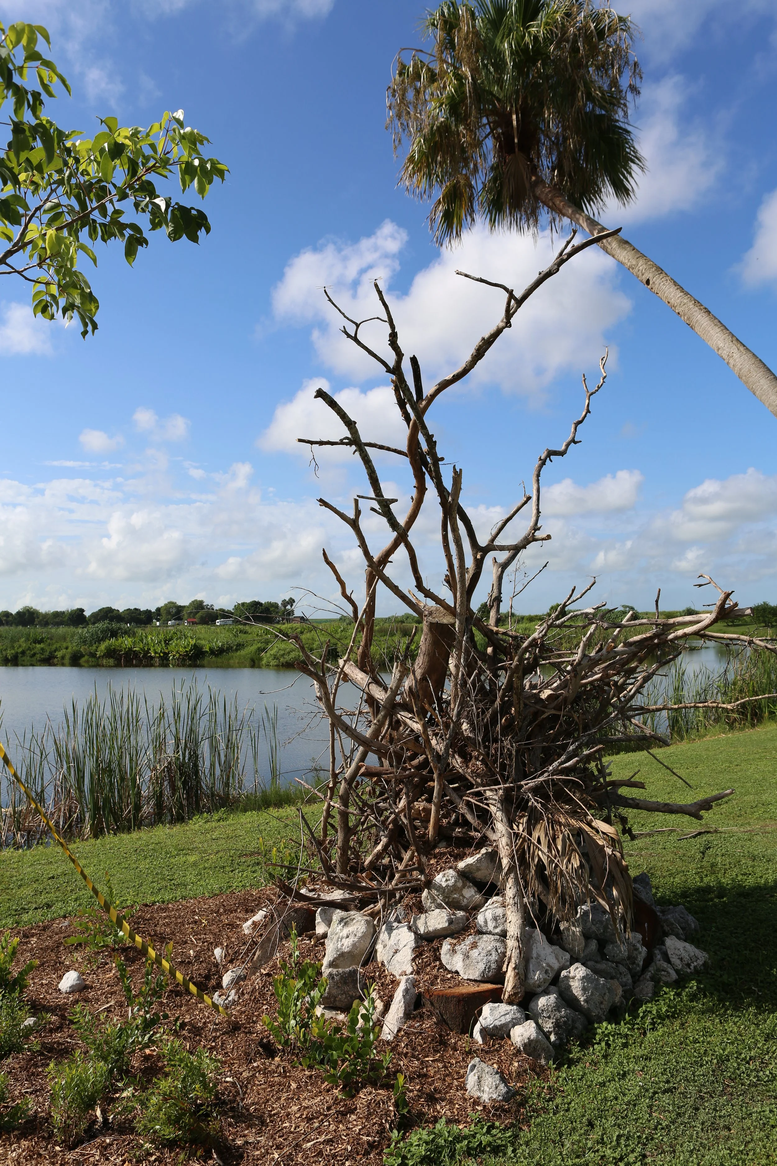 N41A4211 - Copy.JPG