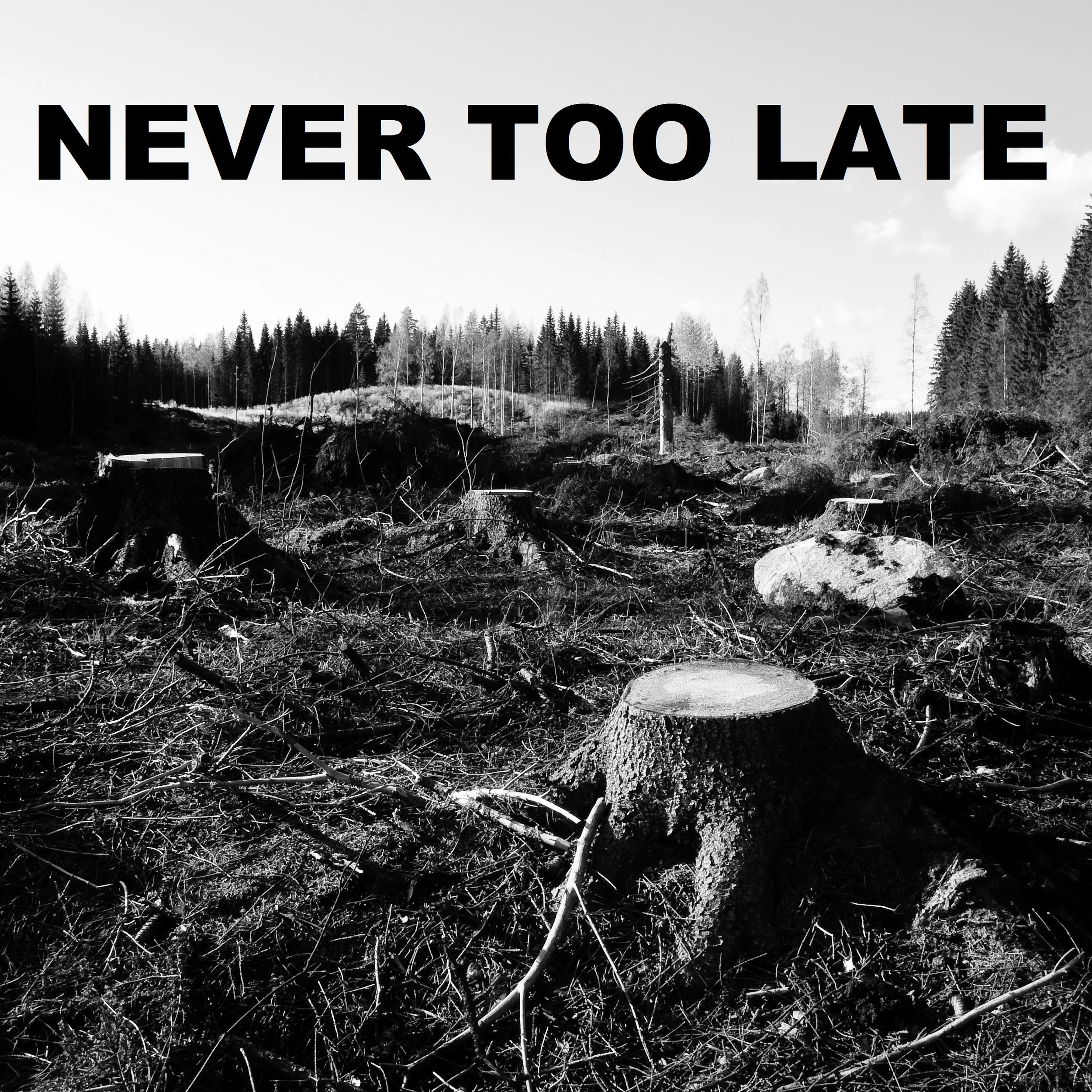 never too late.jpg