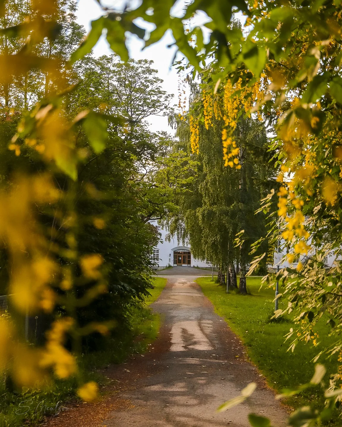 Gylden høst