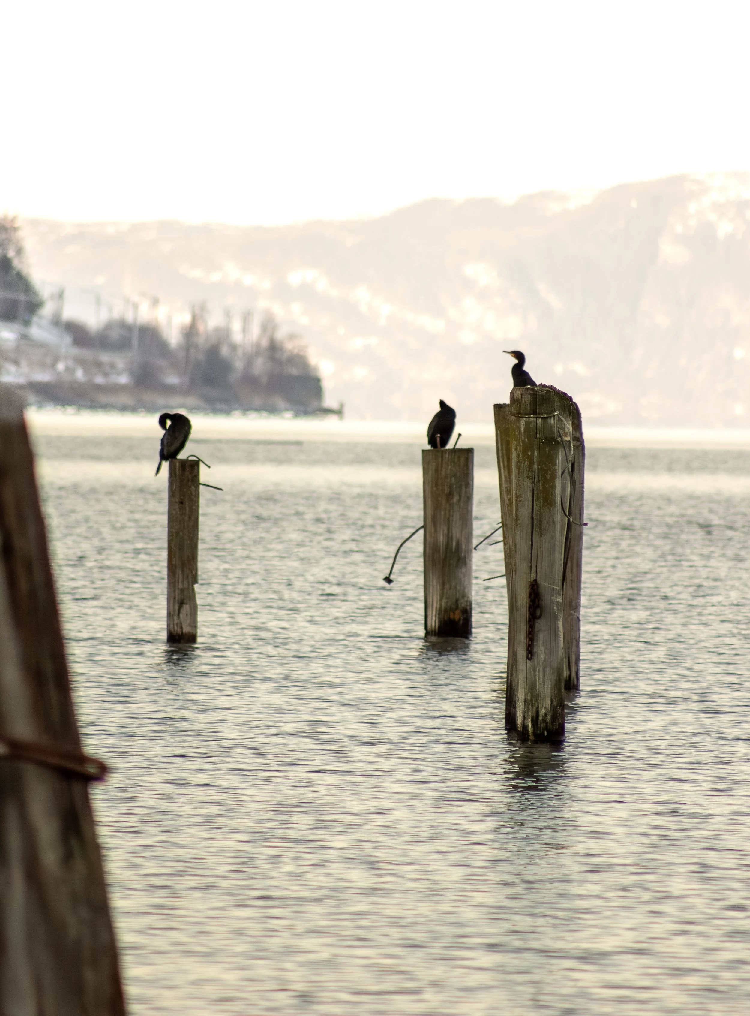 210126_0087.jpg