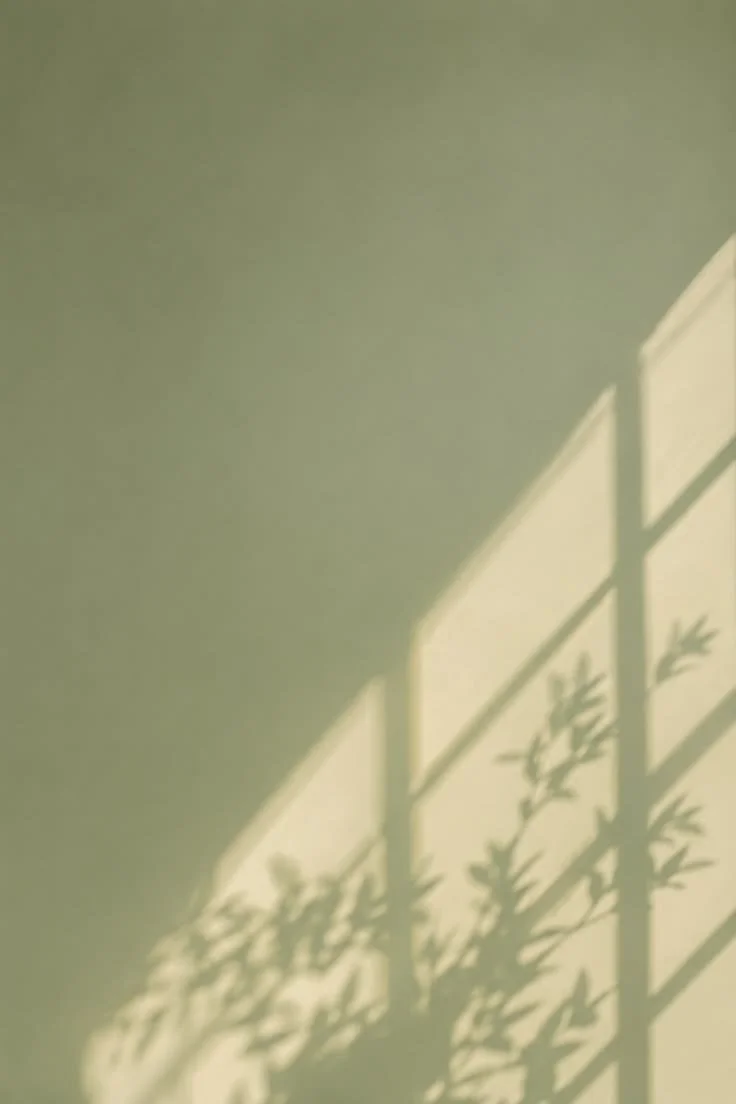 Shadows of a plant and balcony railing on a light-colored wall.