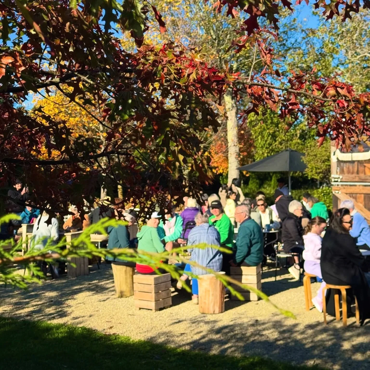 A group of people gathered outdoors during the daytime, sitting and standing around wooden benches and tables under a canopy of autumn-colored trees. The scene appears to be a social or community event.