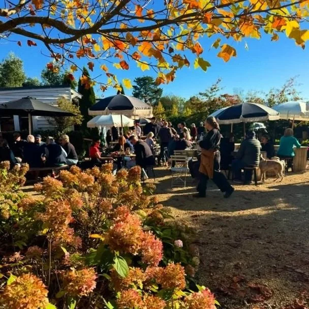 An outdoor patio filled with people dining under umbrellas, surrounded by autumn foliage and flowers on a sunny day.