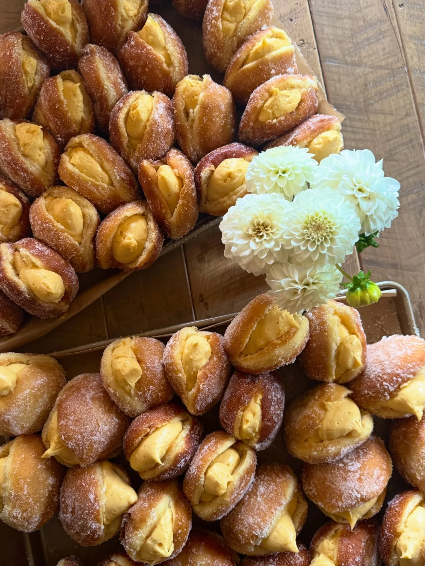 STABLE sugar-dusted, donuts filled with custard, arranged on wooden platters, with white flowers nearby.