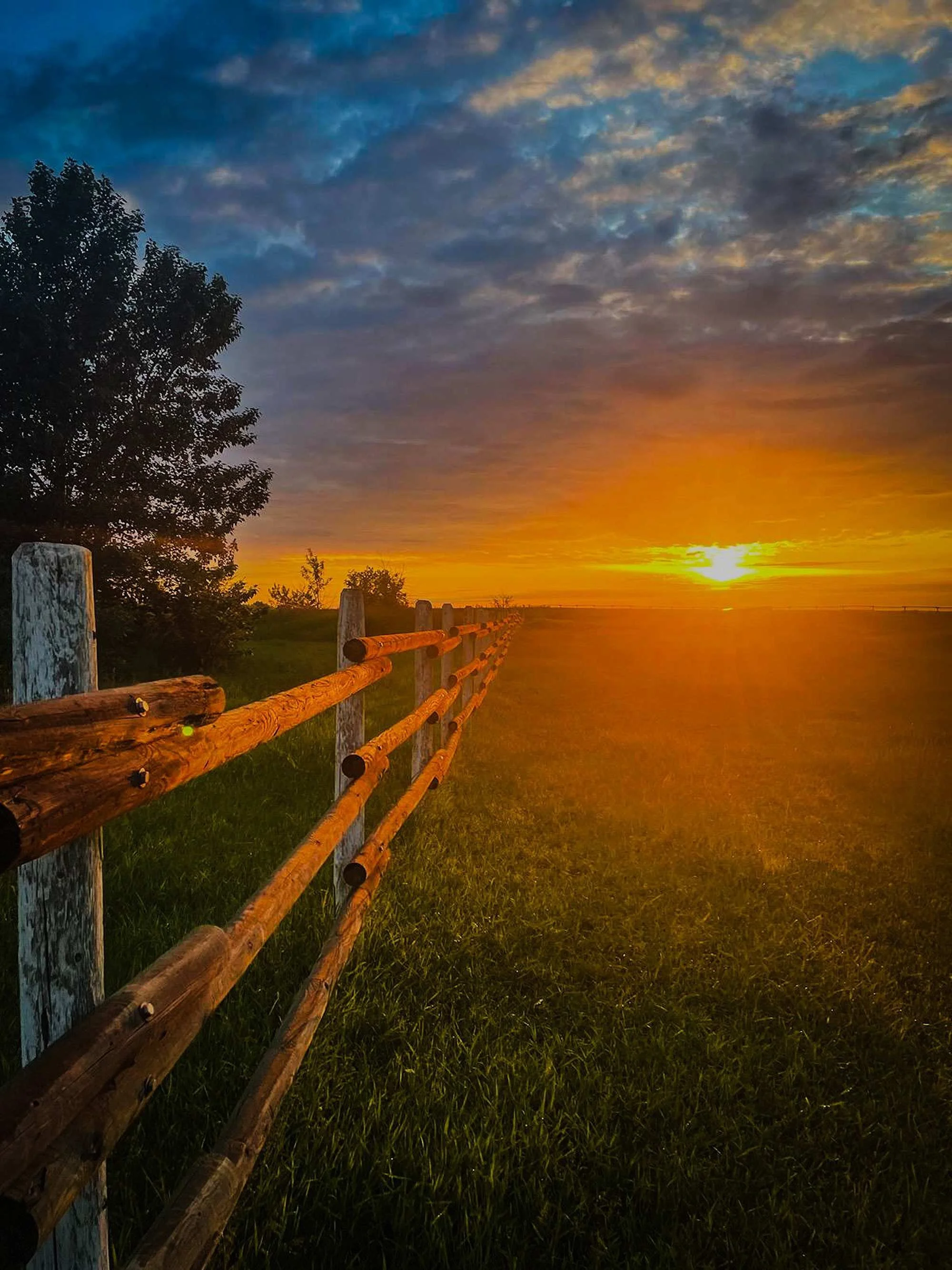 A sunset with a partly cloudy sky over a grassy field, a wooden fence runs along the left side, with trees in the background.