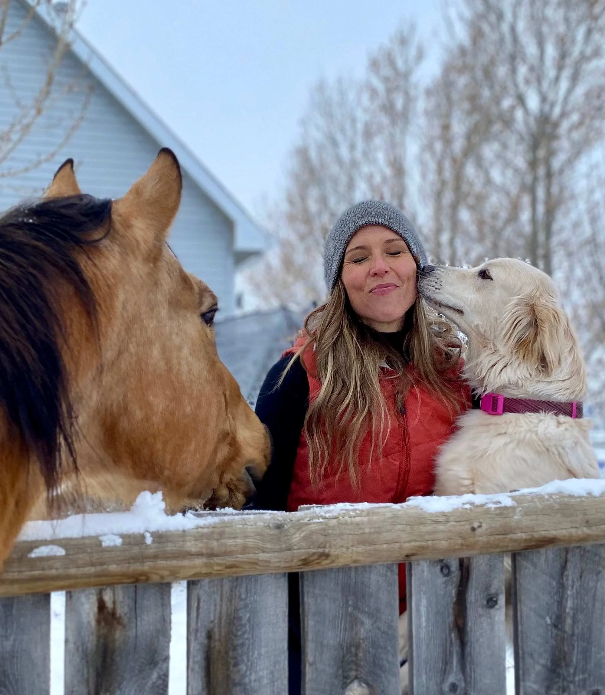 A woman with long hair, wearing a gray beanie and a red jacket, outdoors in winter, surrounded by snow-covered trees, smiling as she interacts with two dogs, one golden retriever and one brown and white dog with purple collar, on a wooden fence.