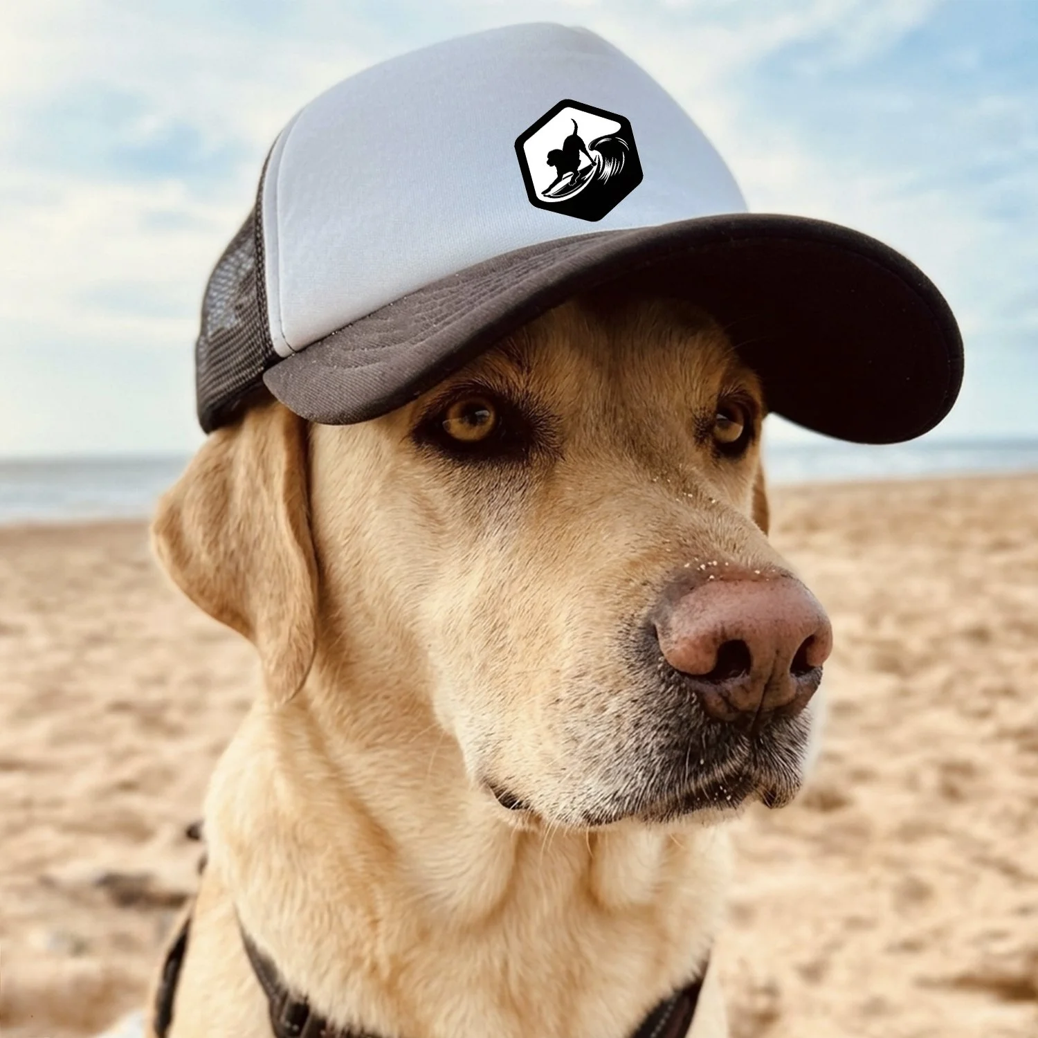 SDA Canine Trucker Hat