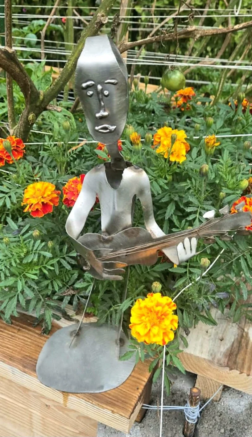 Johnny B. Goode by Sean McFall in a marigold garden