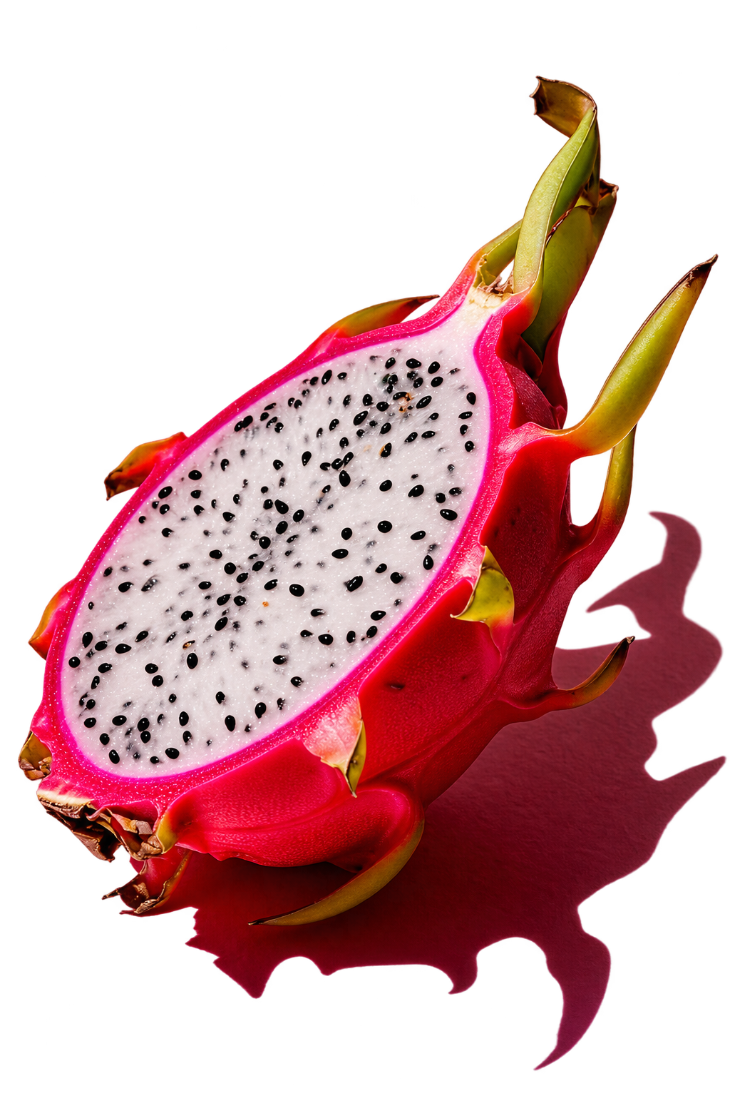 582d45d7-1782-4d36-b374-6aa882fb39b9.png