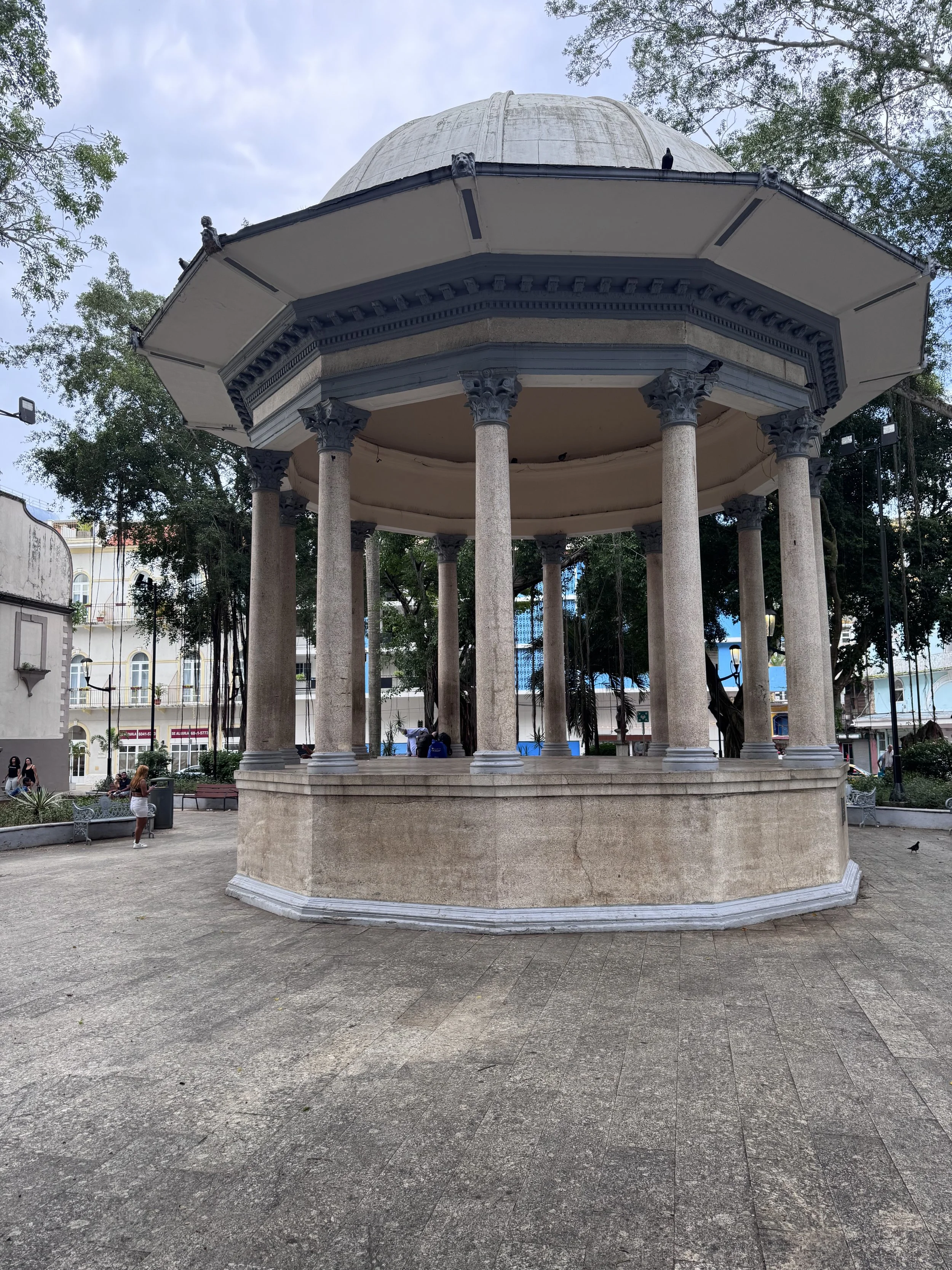 IMG_9225.jpeg