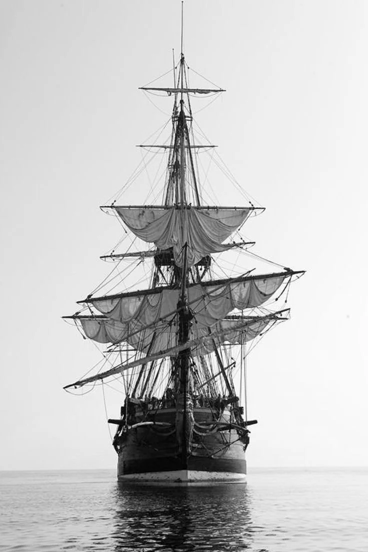 Black and white photo of a large sailing ship with multiple masts and sails, viewed from the front on calm water.