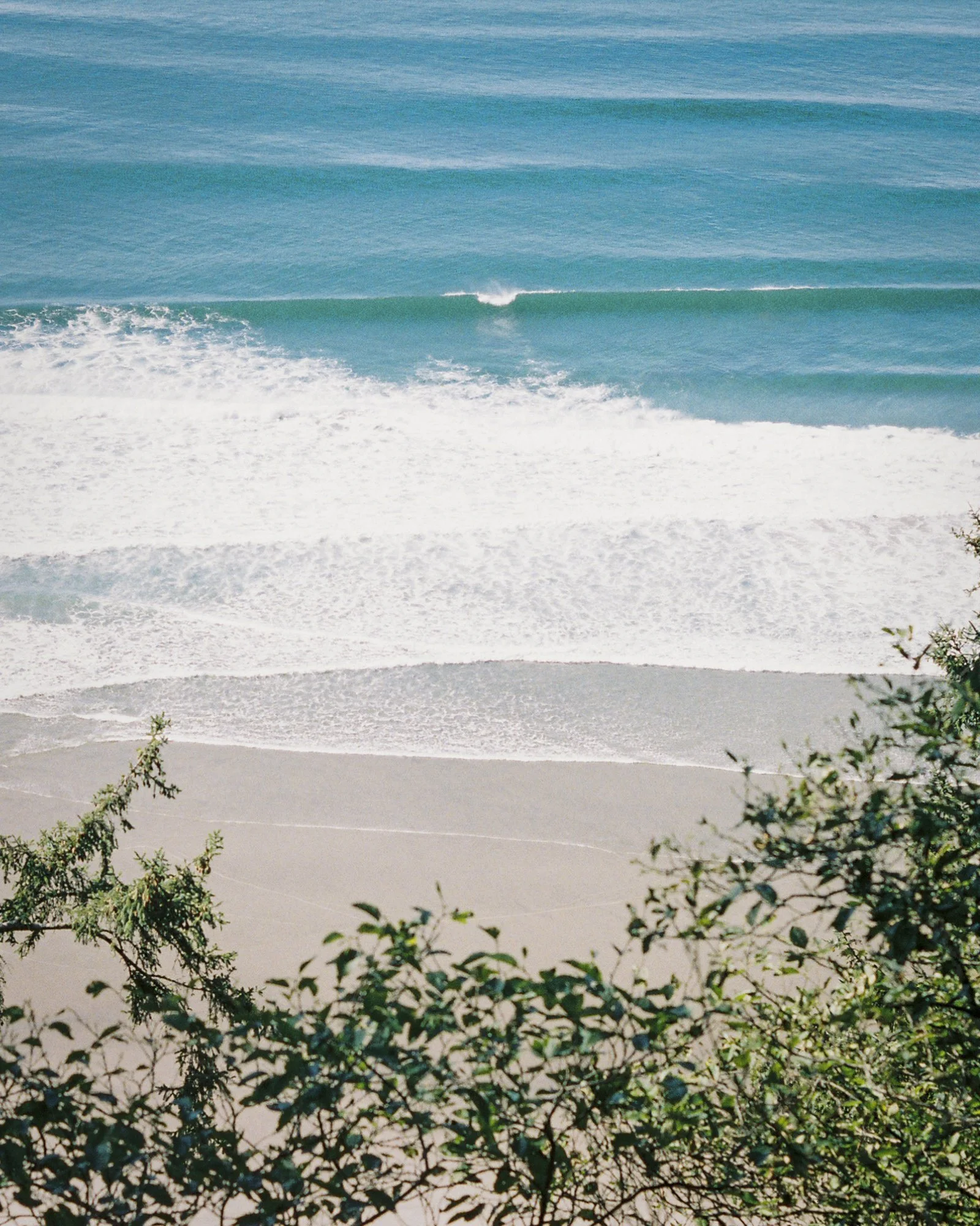 environment-10.JPG