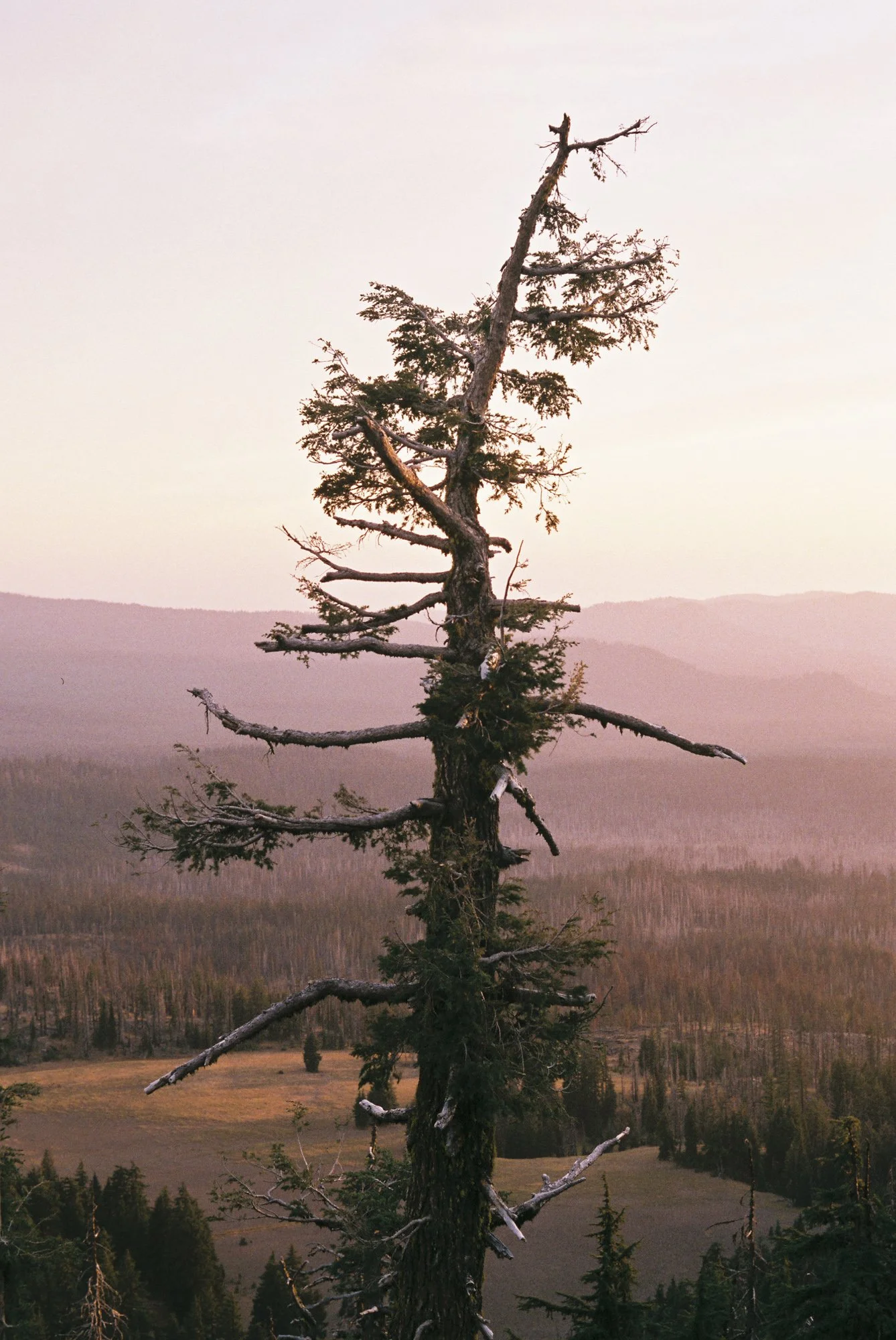 environment-09.JPG