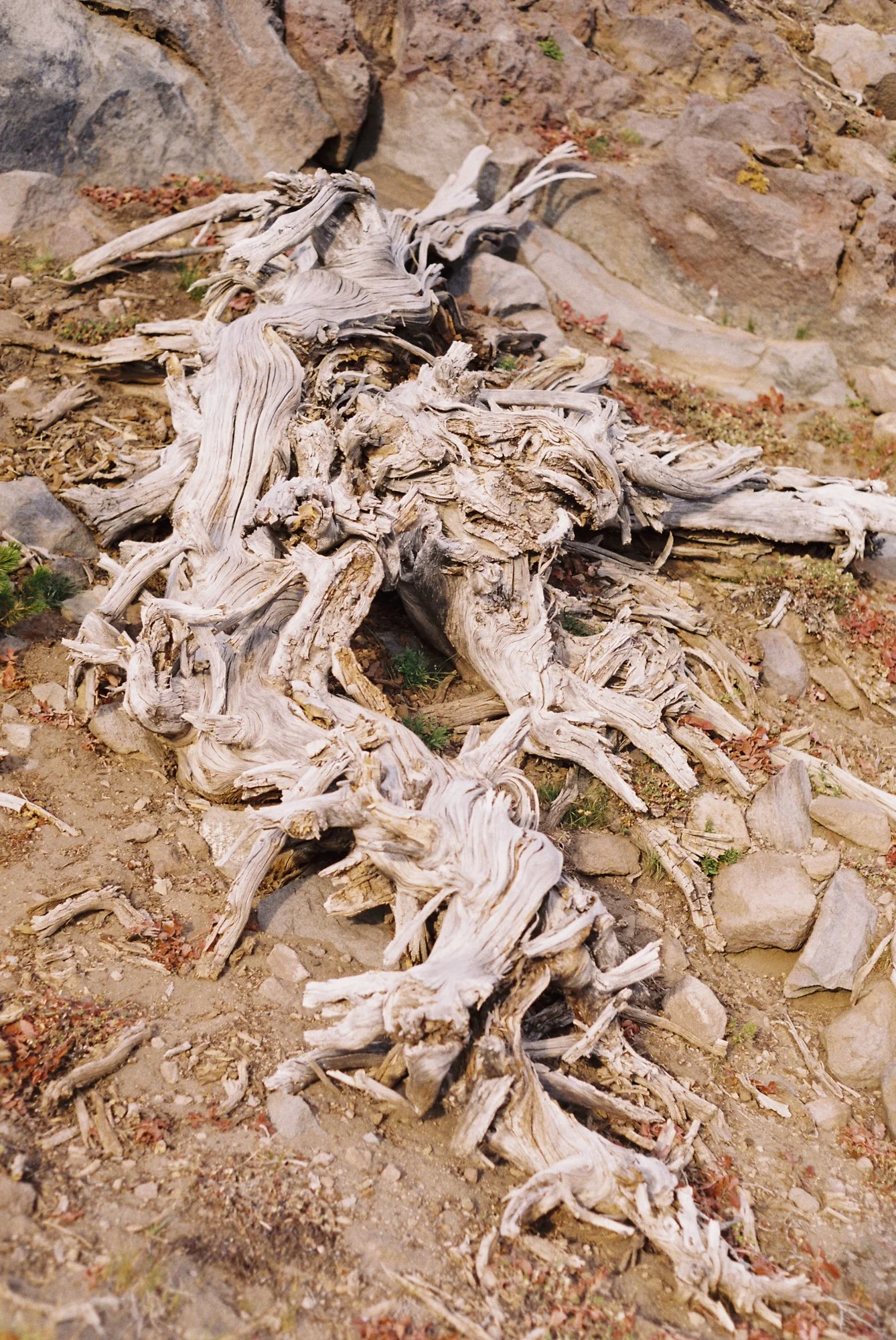 environment-08.JPG