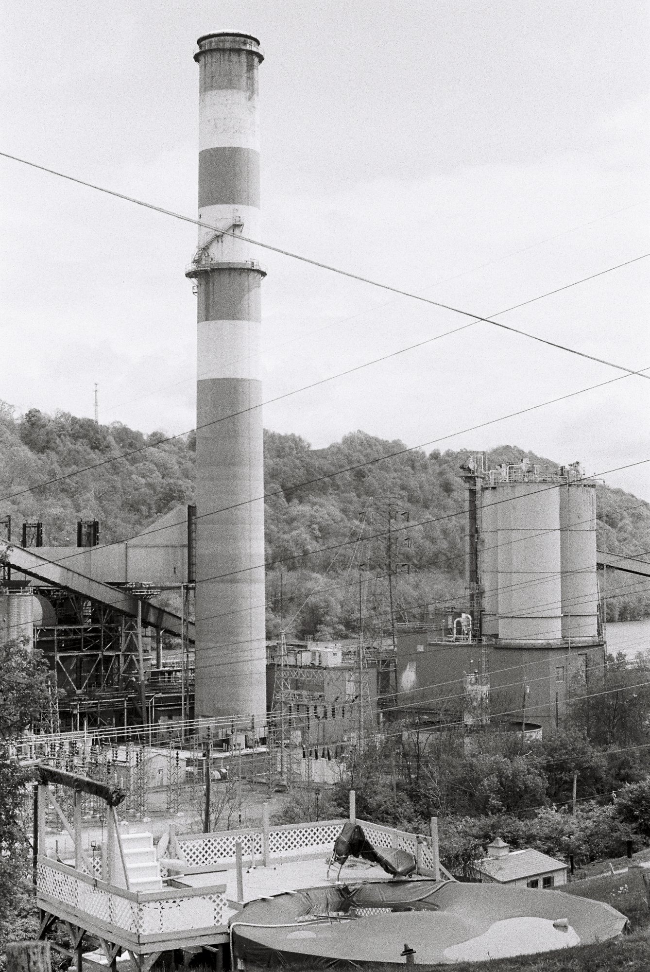 environment-37.JPG
