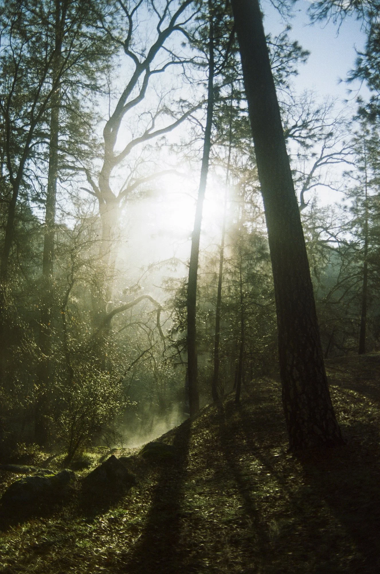 environment-03.JPG