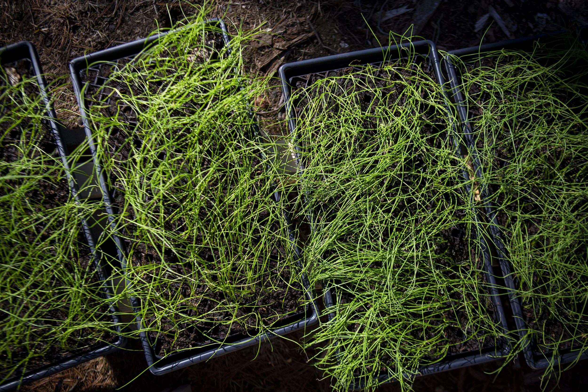 erinfarm_highres_02.JPG