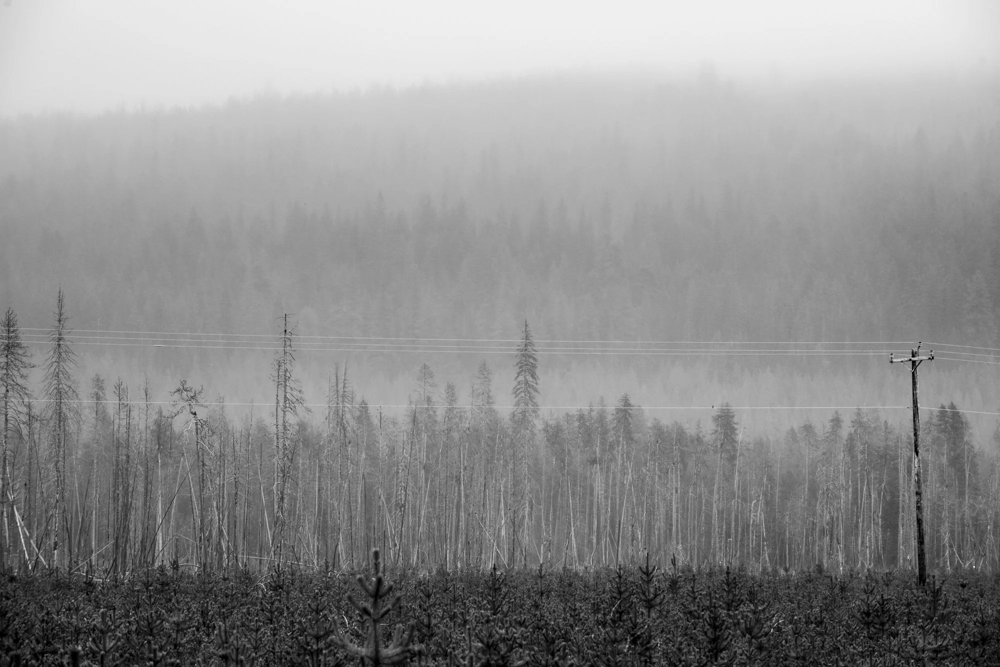 environment-32.JPG