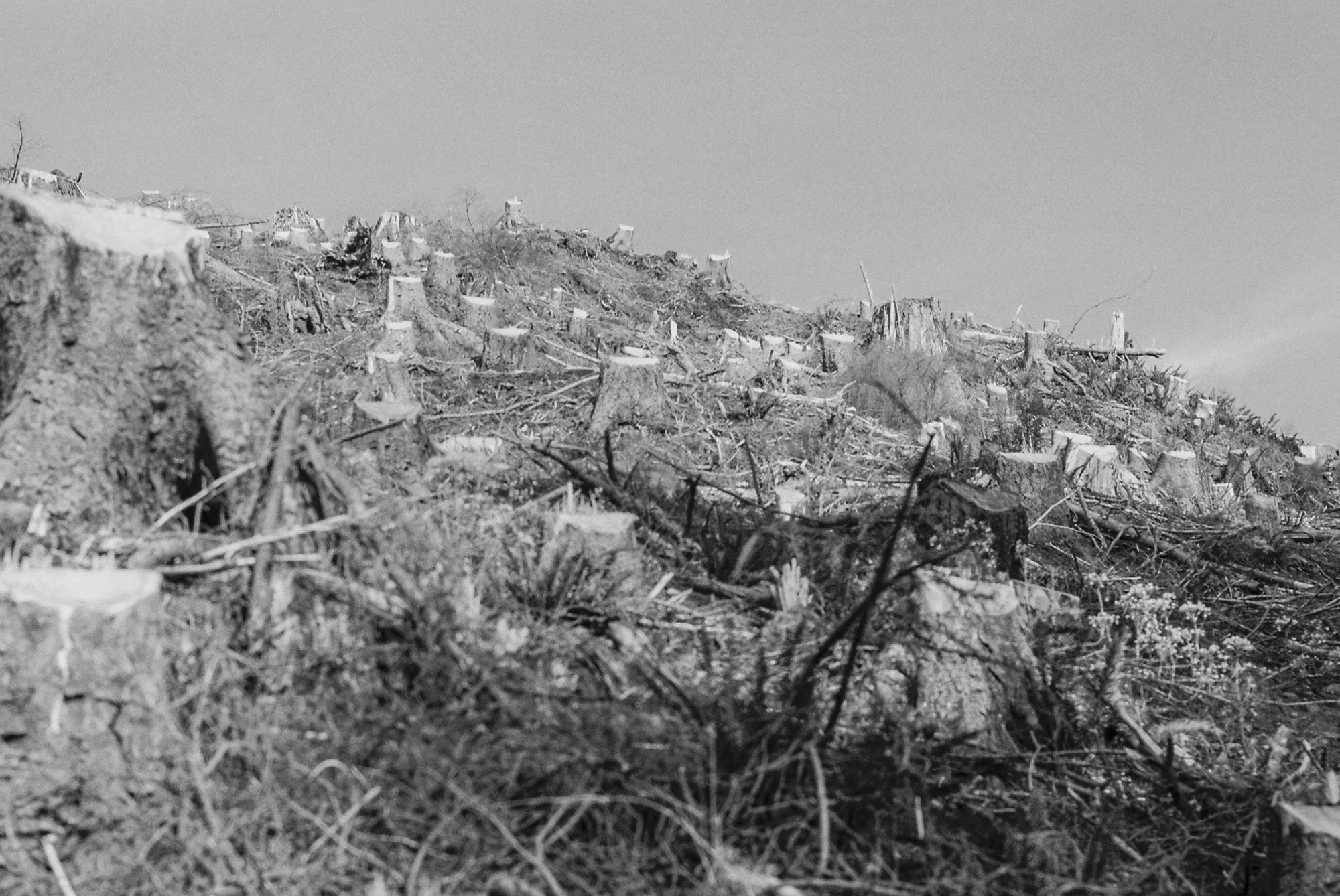 environment-01.JPG