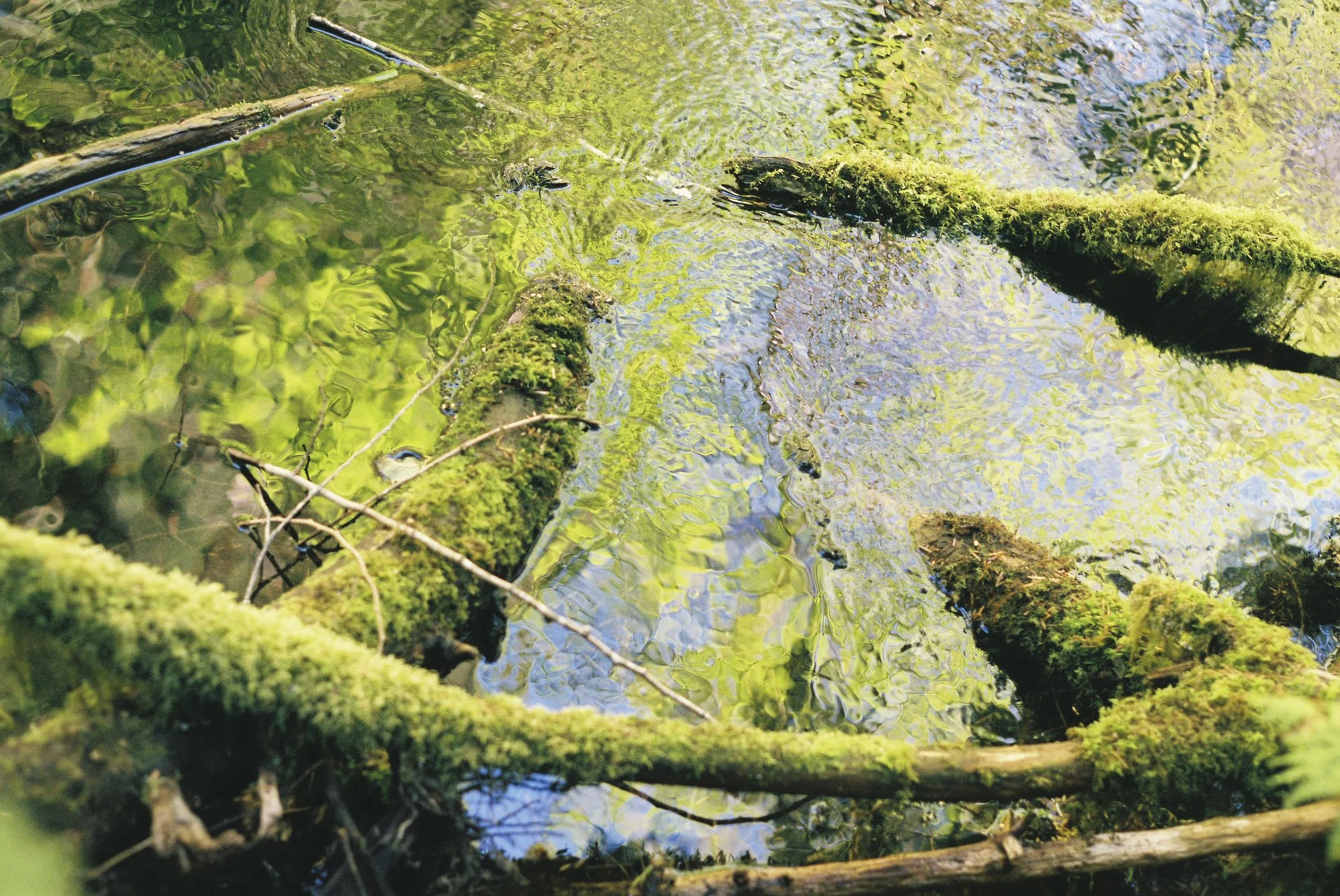 environment-11.JPG