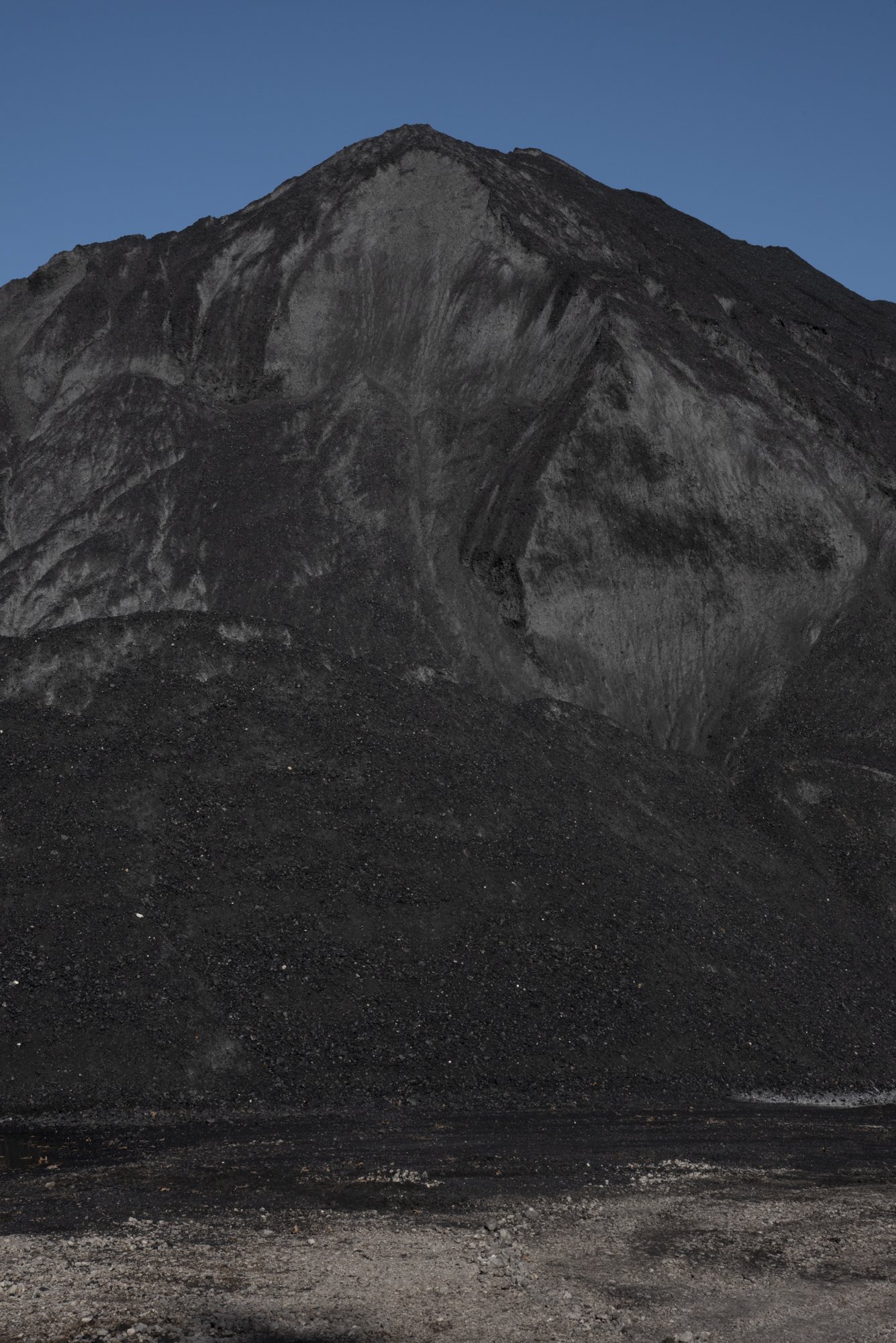 environment-31.JPG