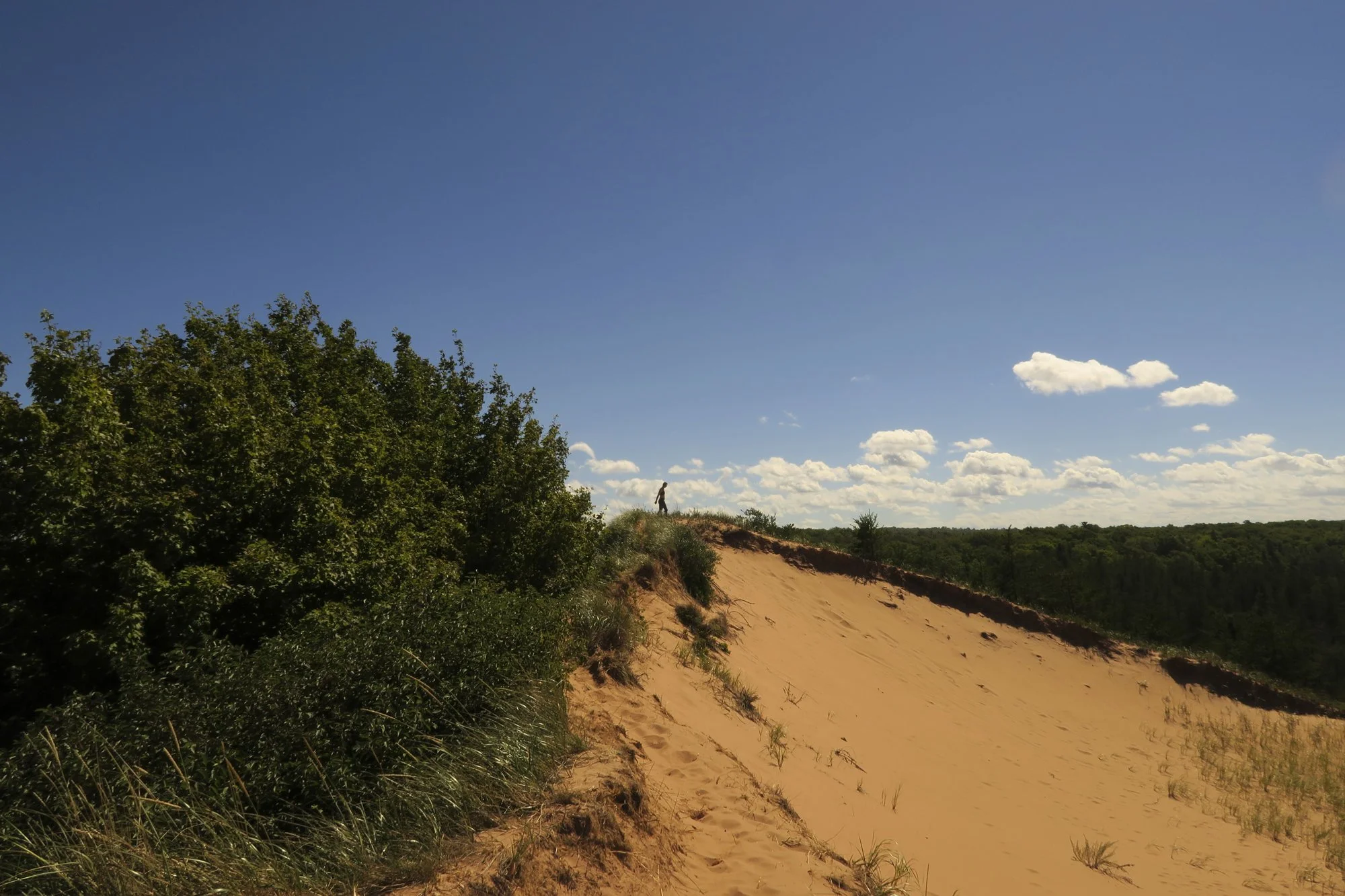 environment-28.JPG