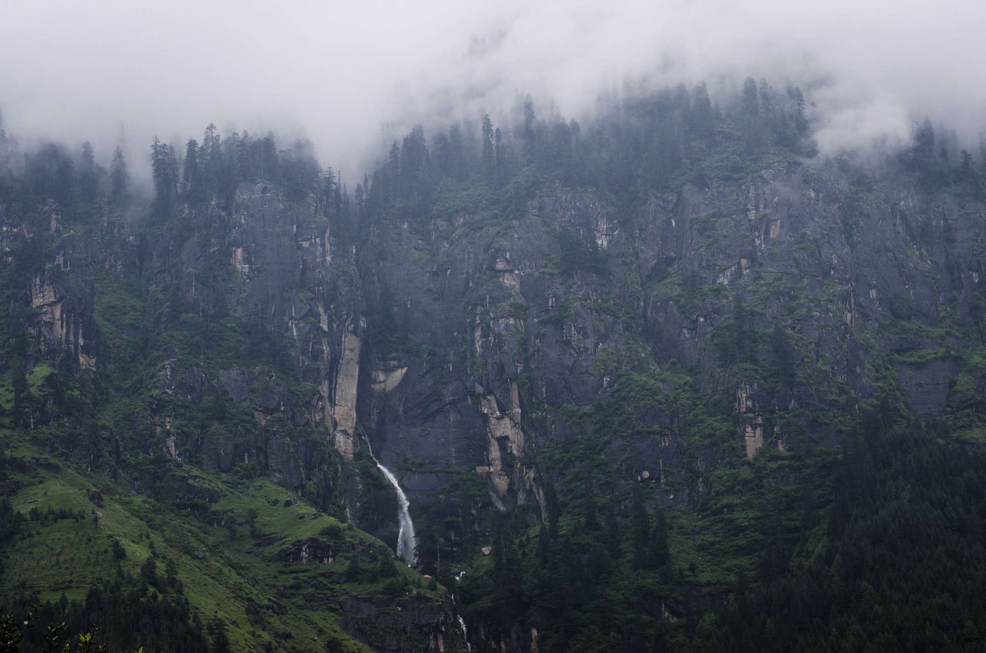 environment-52.JPG