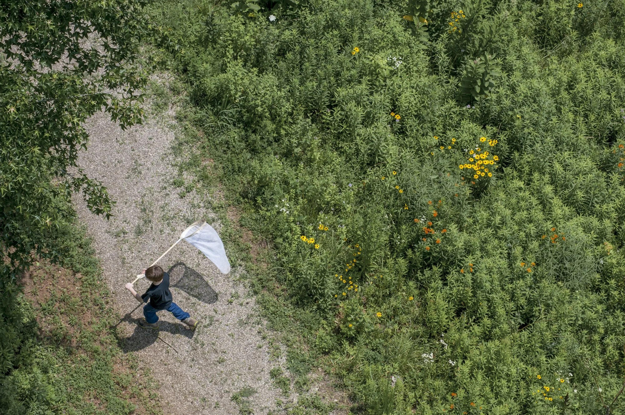 environment-54.JPG