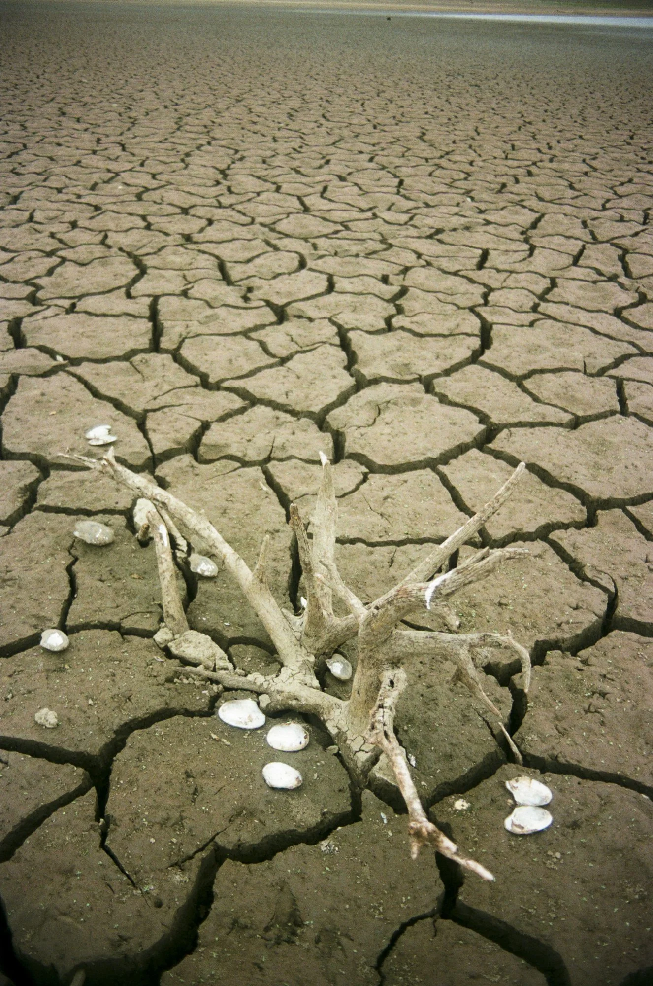 environment-04.JPG