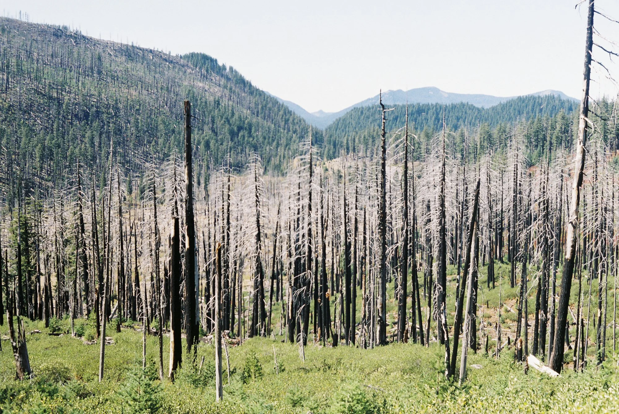 environment-20.JPG