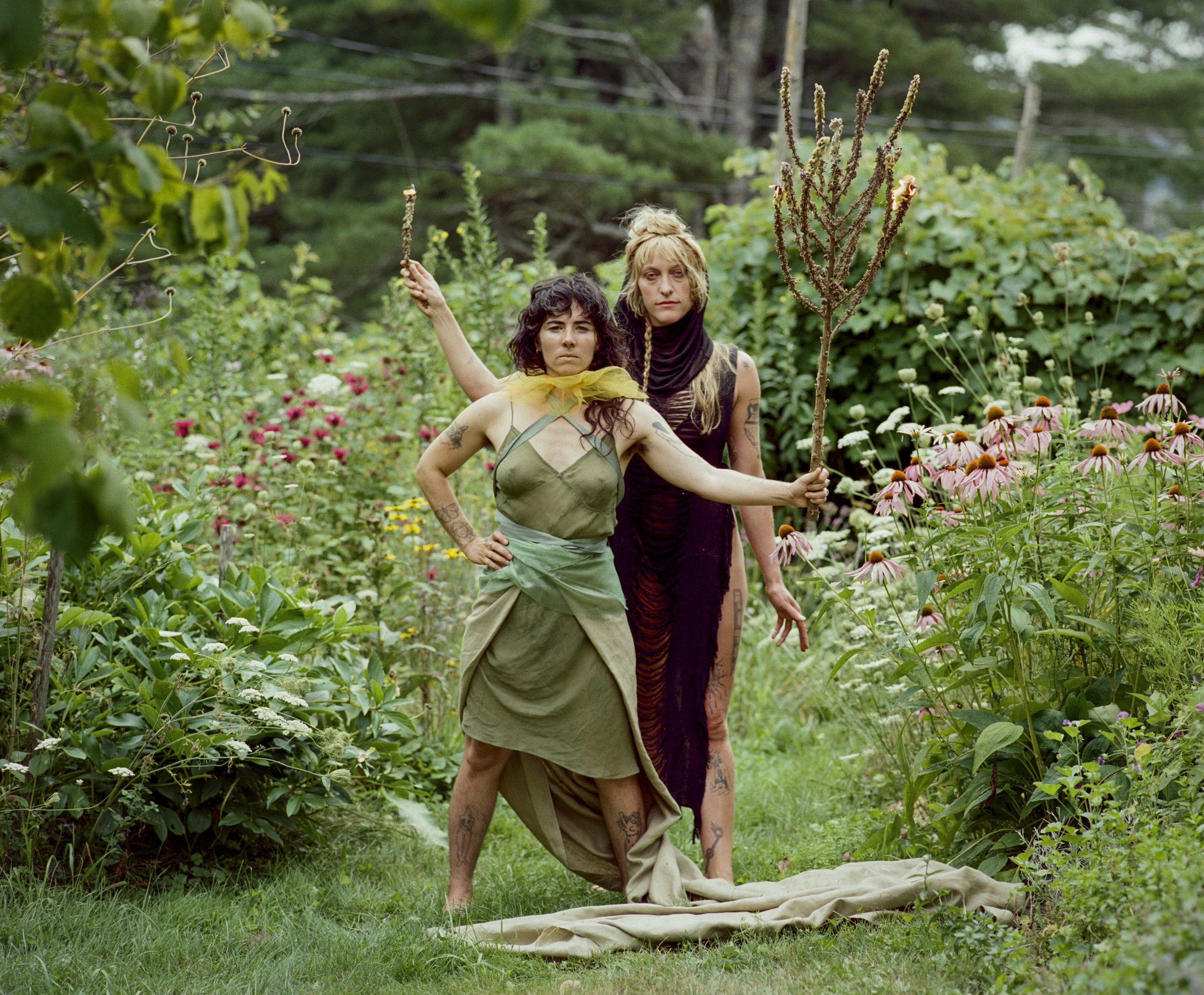 pageant-plants-05.JPG