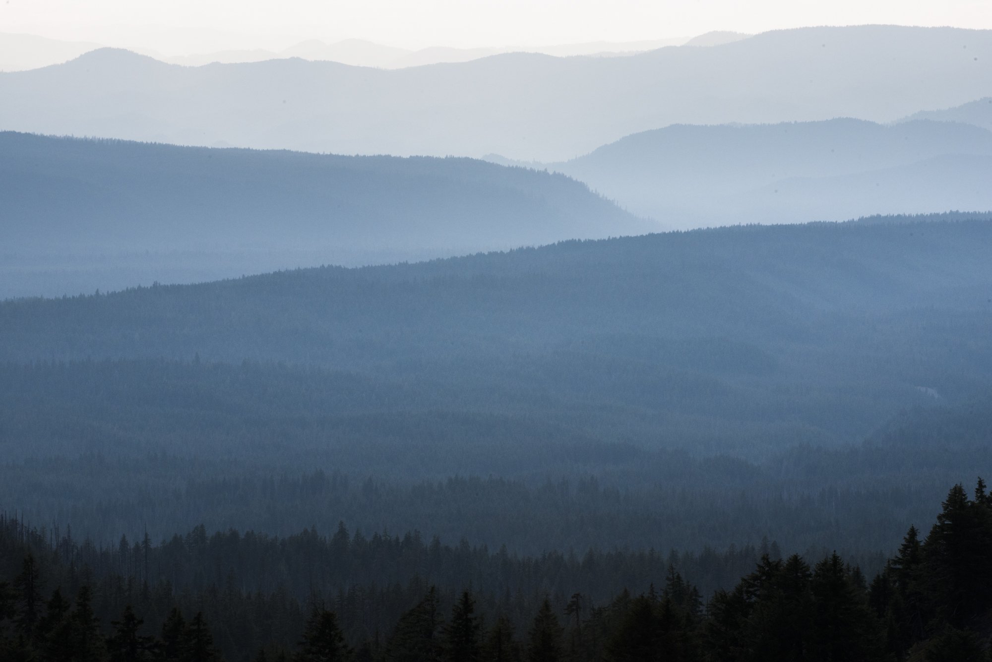 environment-34.JPG
