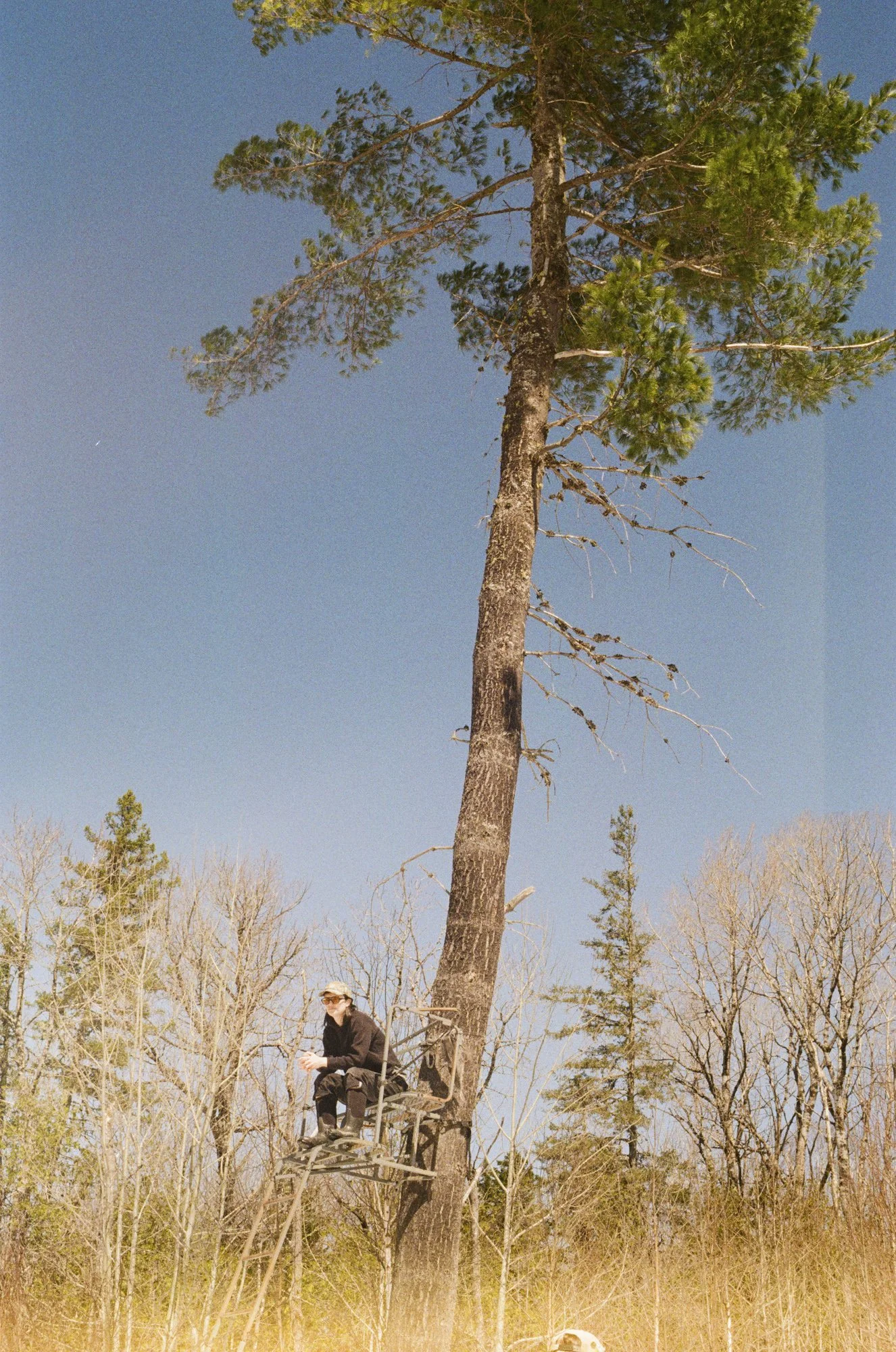 environment-15.JPG