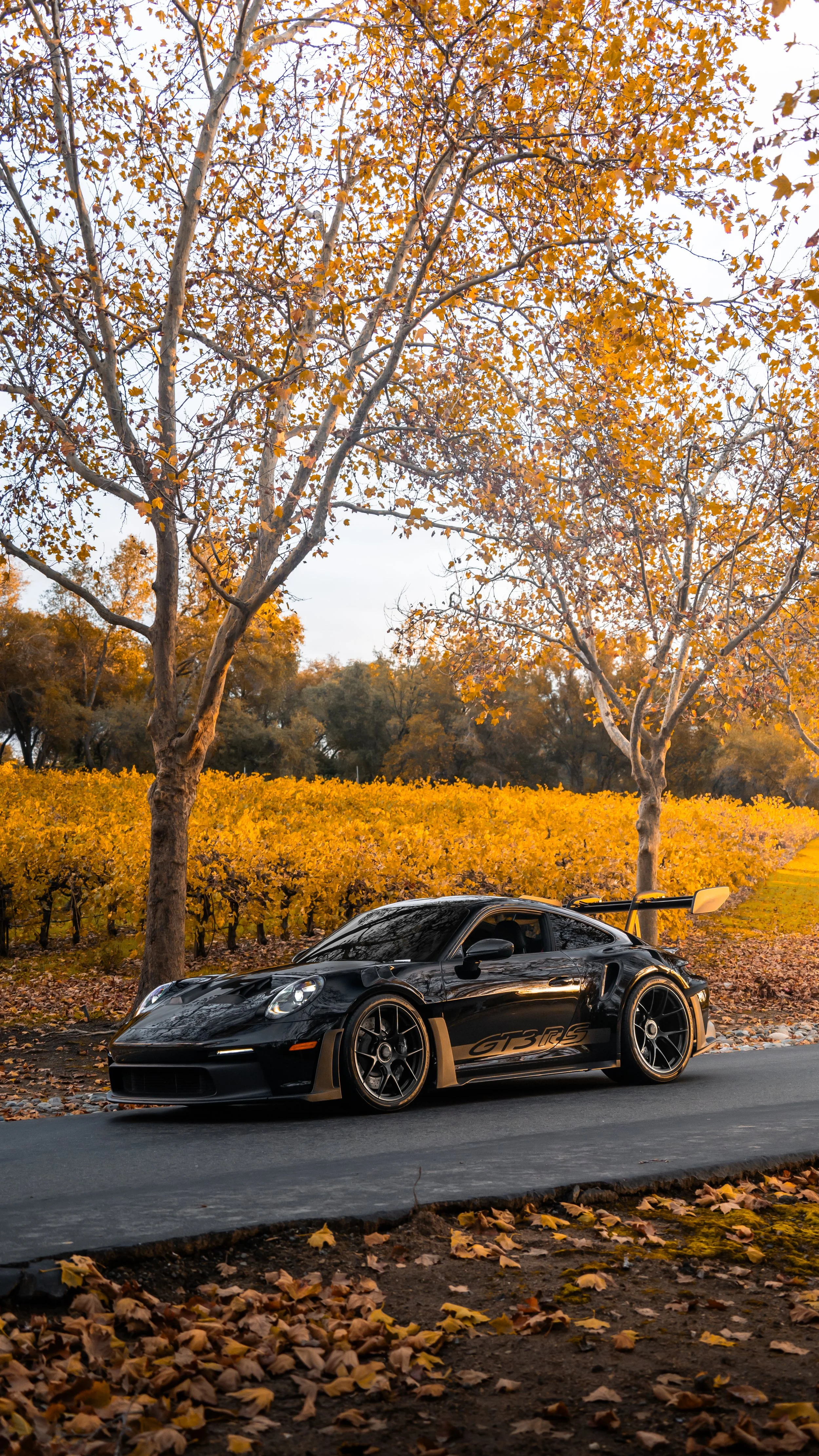 A black sports car parked on the side of a road with autumn leaves on the ground and trees with yellow and orange leaves in the background.