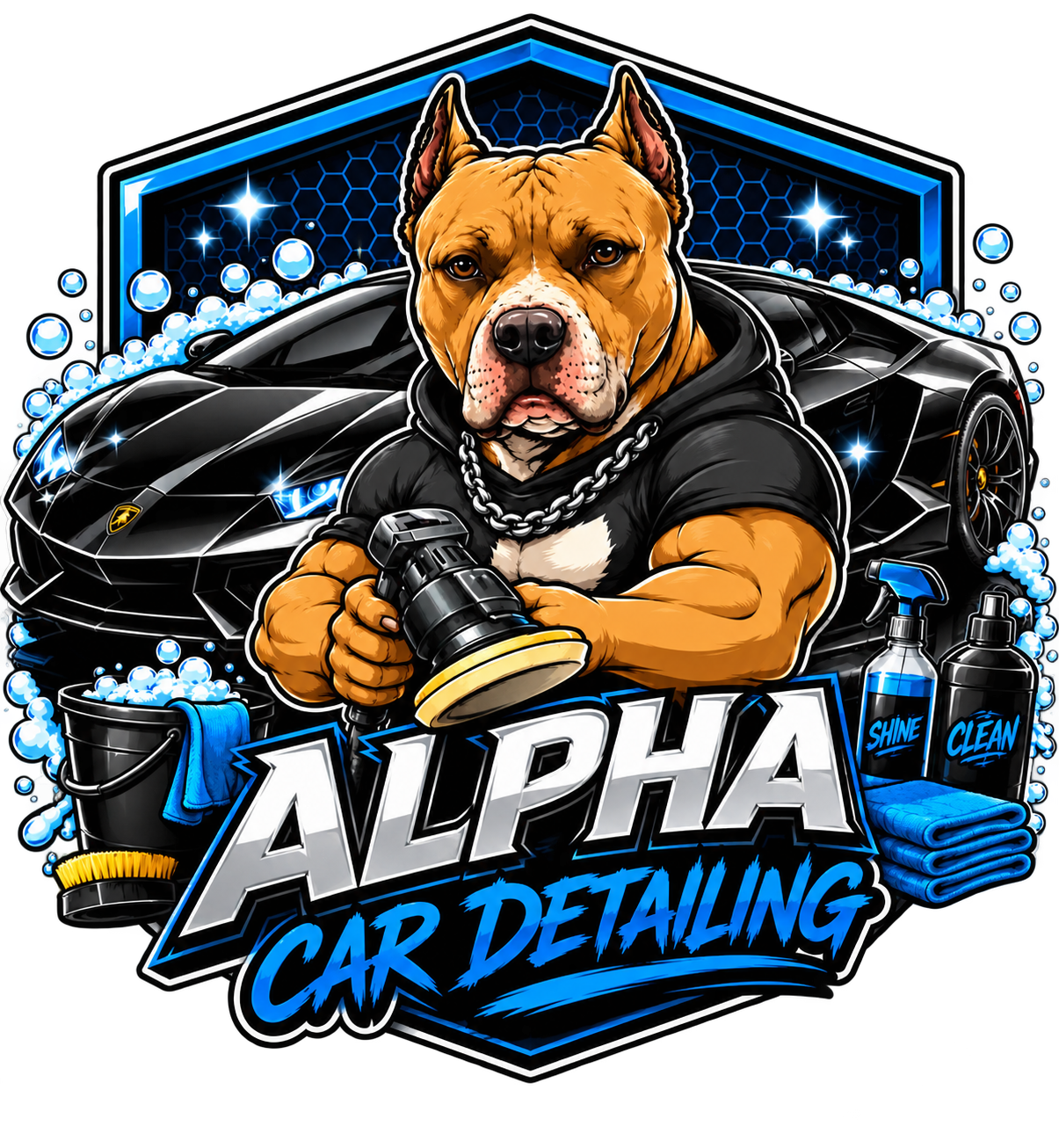 Alpha Car Detailing