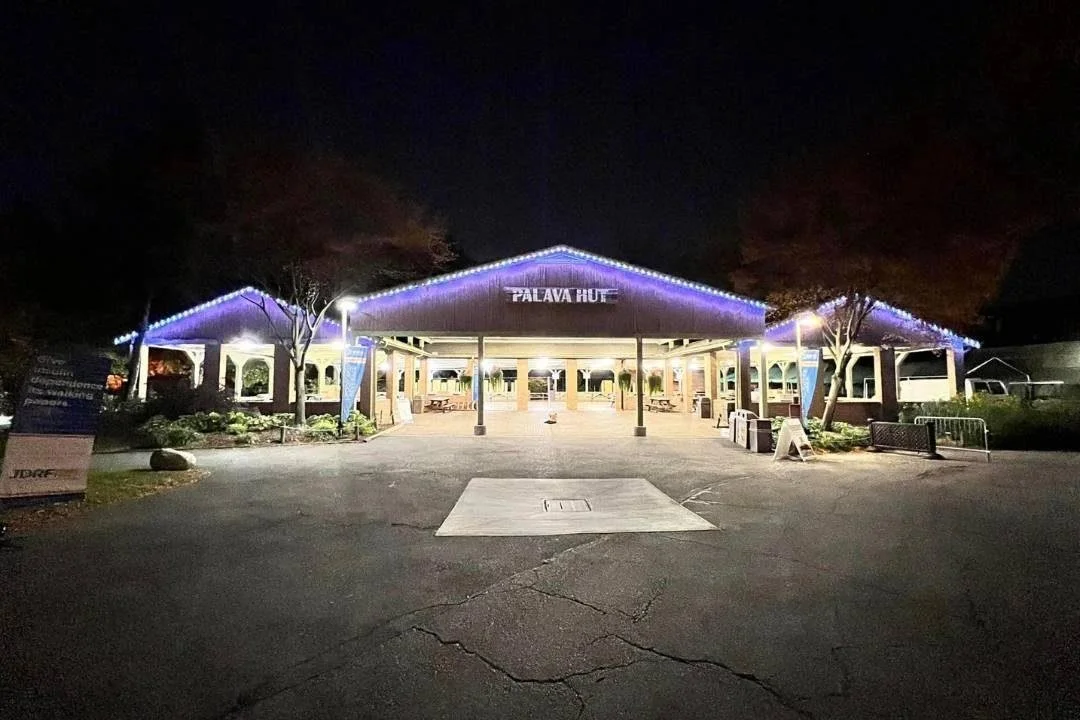 A lit-up pavilion named Palava Hut at night, decorated with blue and white string lights, with trees and benches around it.