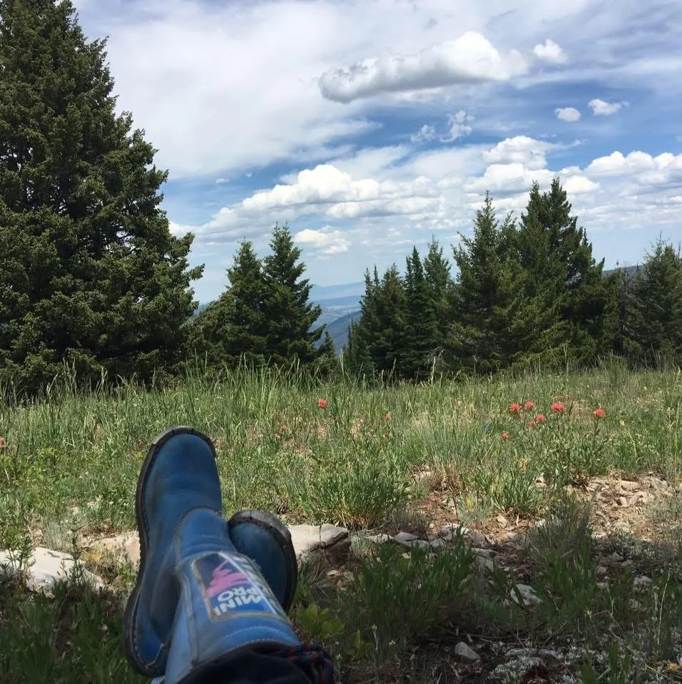Blue hiking boots in a wildflower meadow overlooking a forested mountain landscape beneath a partly cloudy sky