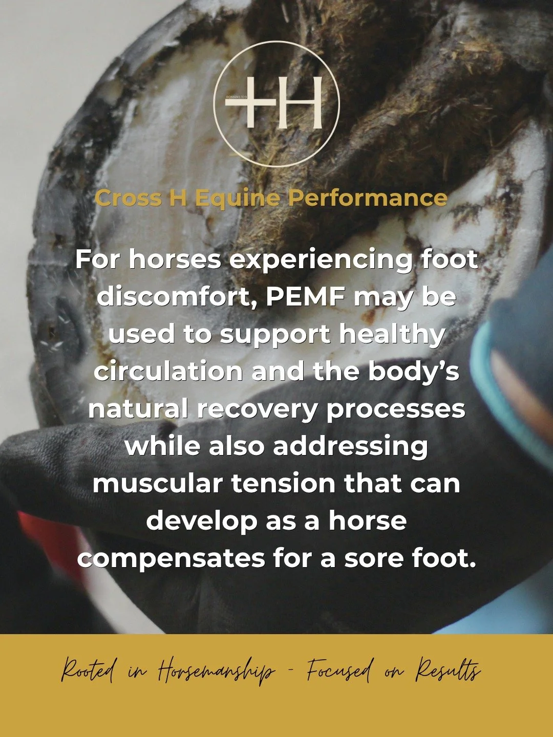 🐴 𝐖𝐇𝐄𝐍 𝐘𝐎𝐔𝐑 𝐇𝐎𝐑𝐒𝐄&rsquo;𝐒 𝐅𝐄𝐄𝐓 𝐇𝐔𝐑𝐓, 𝐓𝐇𝐄 𝐄𝐅𝐅𝐄𝐂𝐓 𝐂𝐀𝐍 𝐓𝐑𝐀𝐕𝐄𝐋 𝐅𝐀𝐑 𝐁𝐄𝐘𝐎𝐍𝐃 𝐓𝐇𝐄 𝐇𝐎𝐎𝐅.

A sore foot can change how a horse loads the limb, alters movement, and creates compensatory tension throughout 