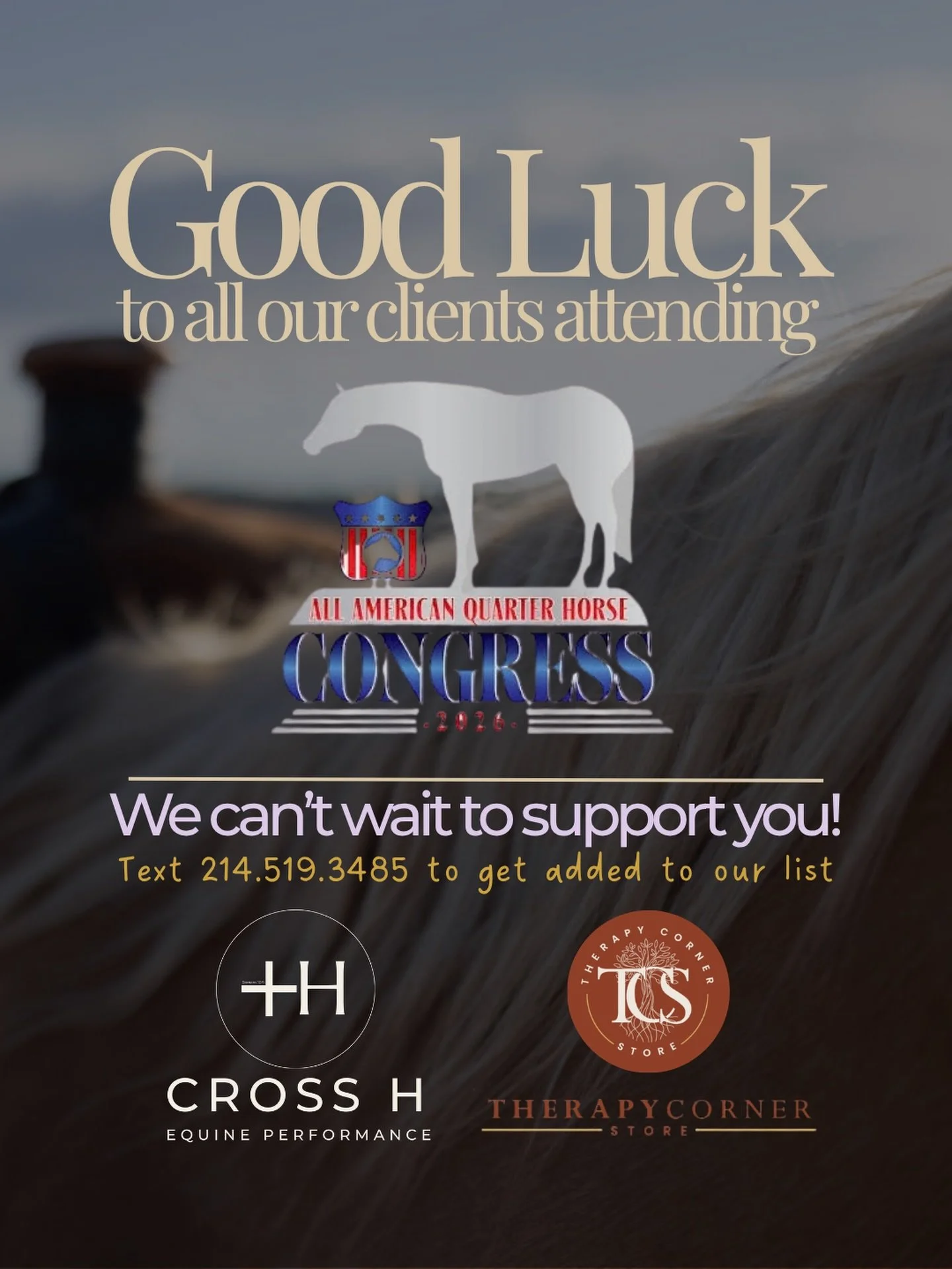 Extra stressors like hauling, new environments, extra training and showing can take a toll on your show horse&rsquo;s mental and physical wellness. We&rsquo;d love to support your horse&rsquo;s wellbeing so they can put their best self out in the are