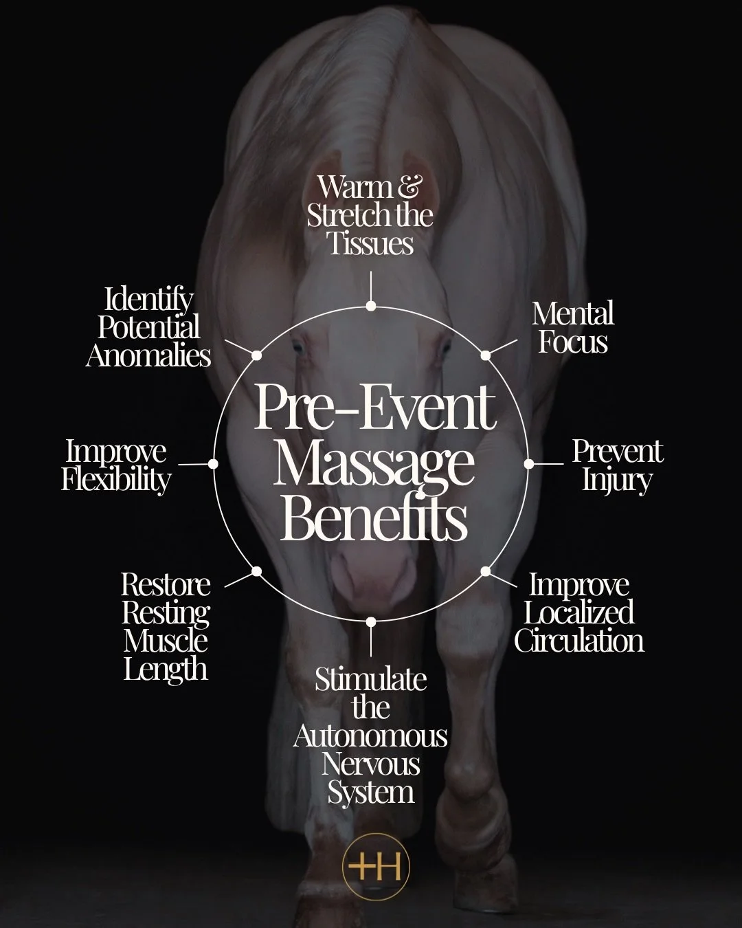 With all the end-of-year futurity events coming up, it&rsquo;s a good time to review the benefits of pre- and post-event massage for our young equine athletes. Many are competing at their highest level multiple times within a few days apart. Our goal