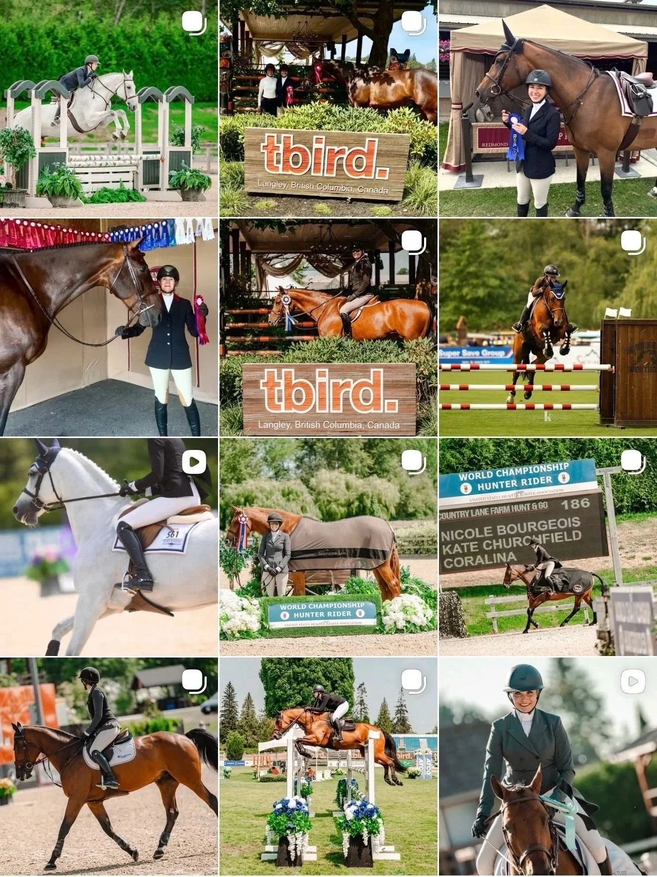 A collage of images from an equestrian competition, featuring riders on horses jumping over obstacles, people with horses, event signs, and award ribbons at a horse riding event in Langley, British Columbia, Canada.