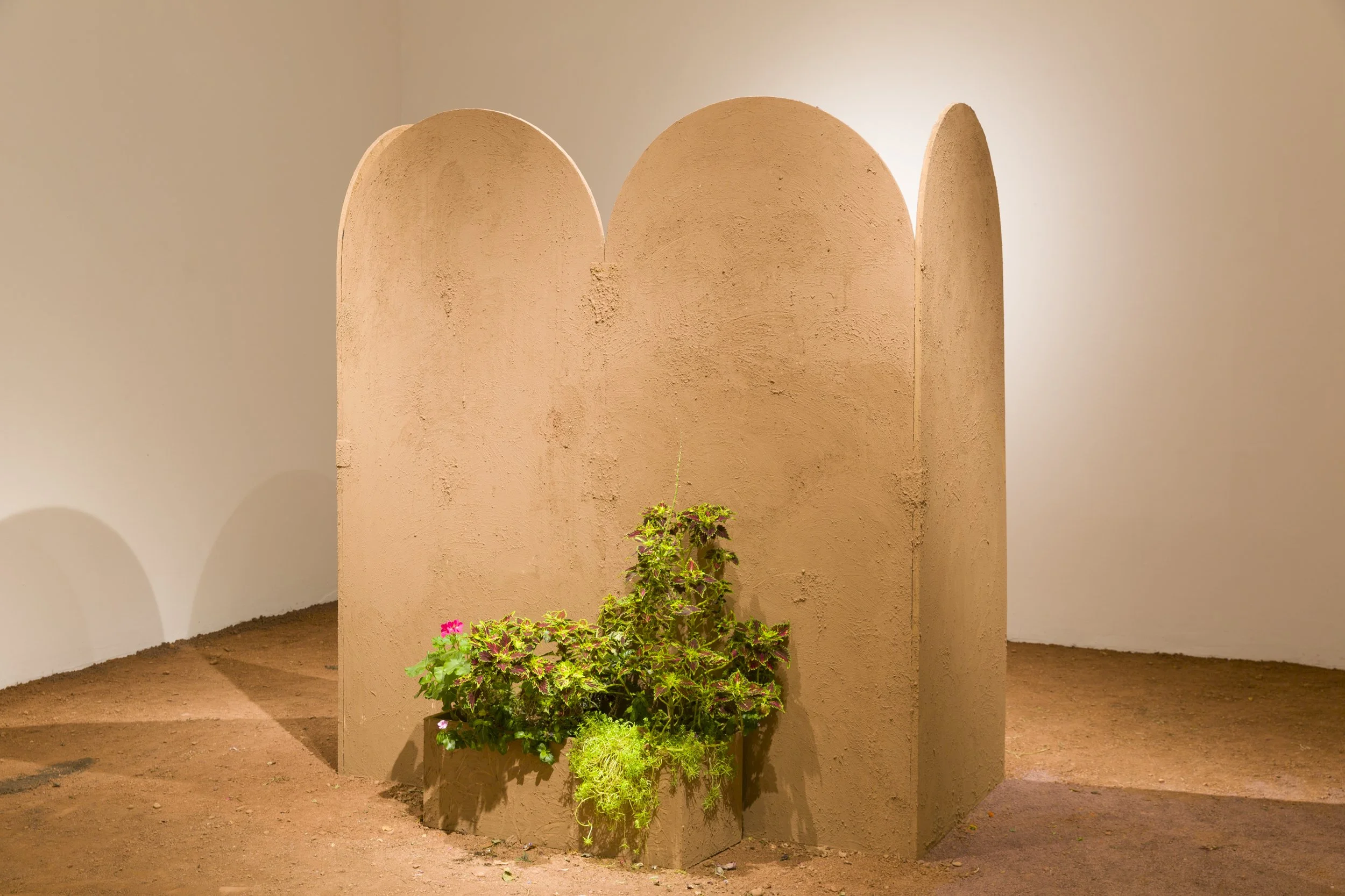 Yet Other’s Sprout from the Ground A, 6 x 3 ft, Soil, Wood, Plants, 2024